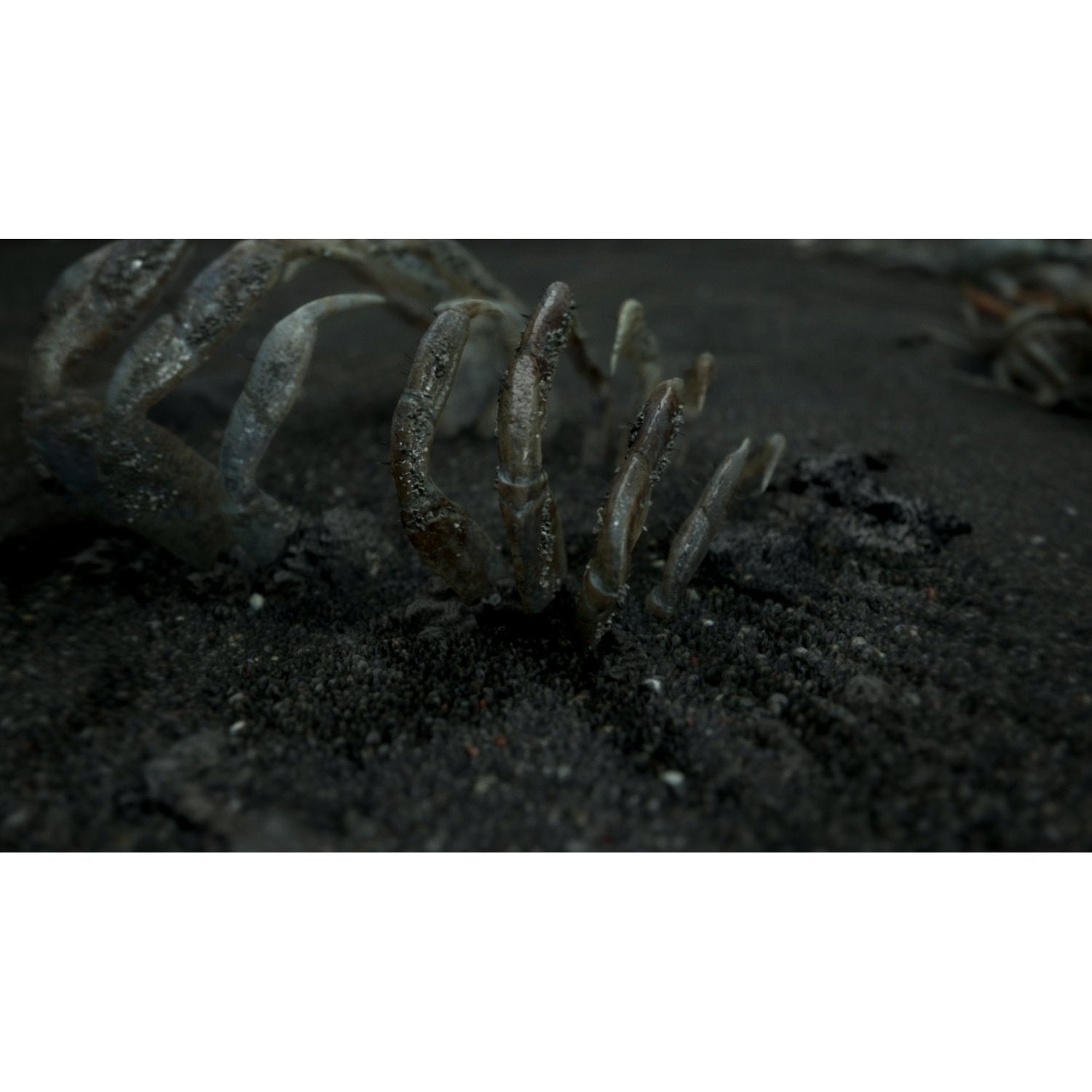 PS4 Death Stranding (NC16)