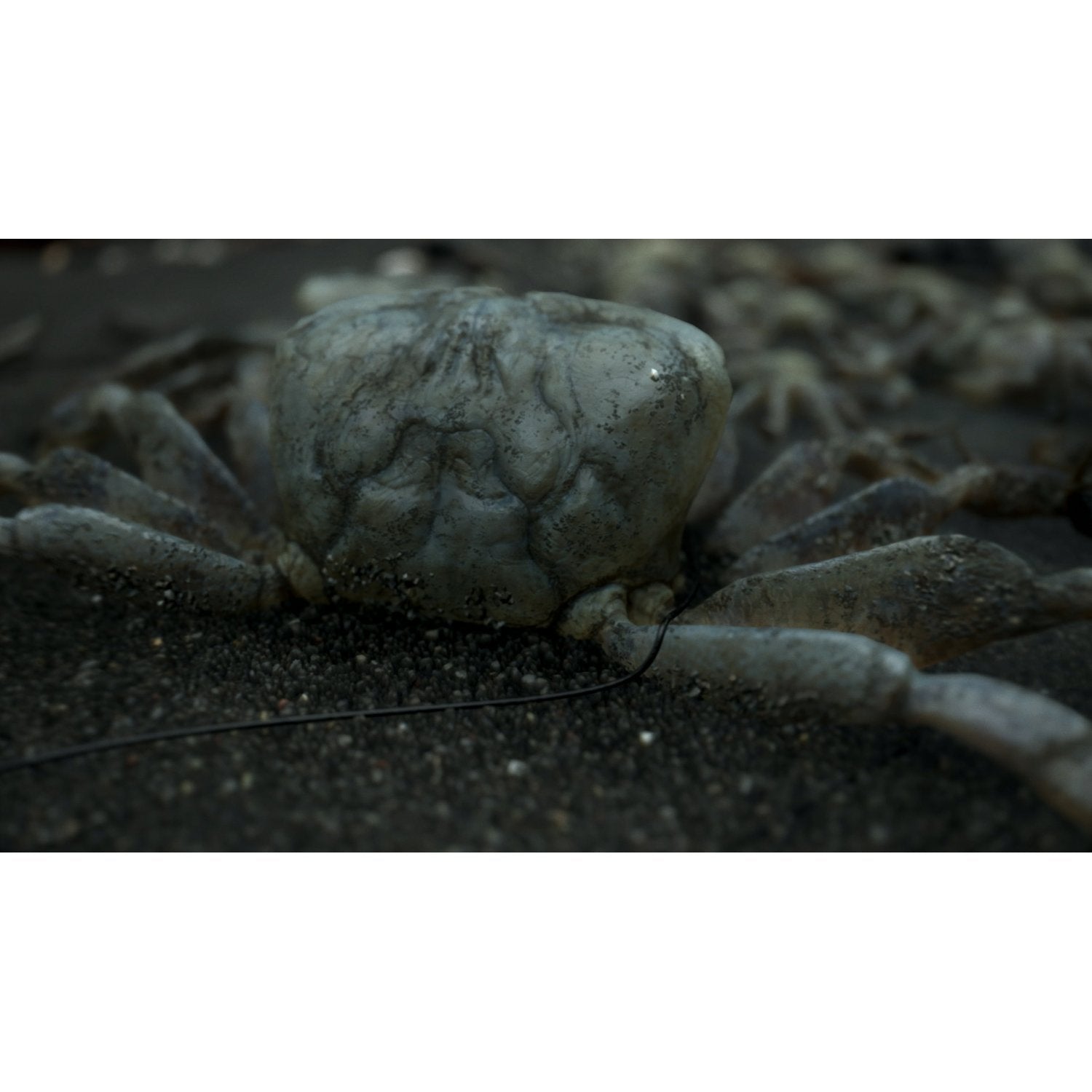 PS4 Death Stranding (NC16)