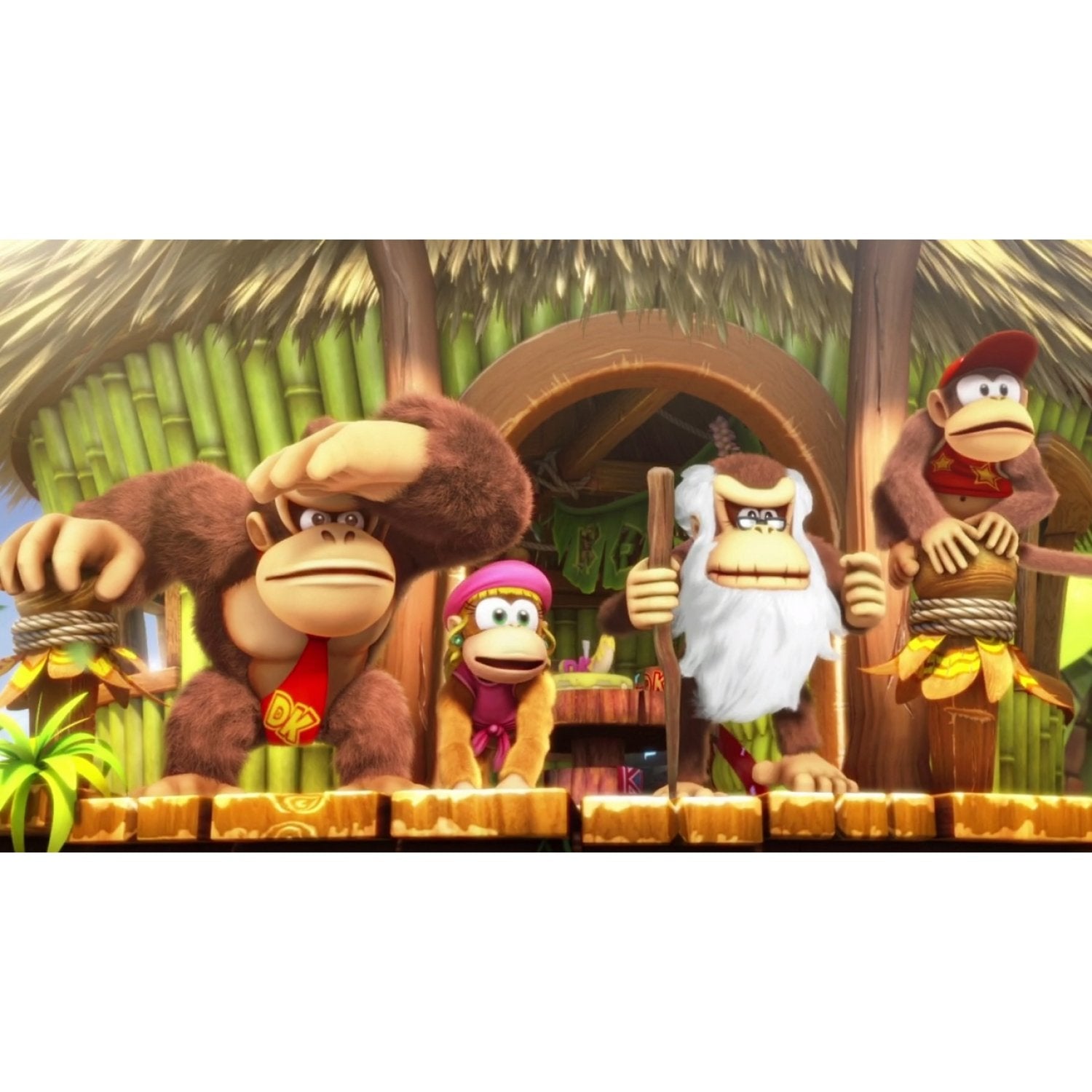 NSW Donkey Kong Country: Tropical Freeze