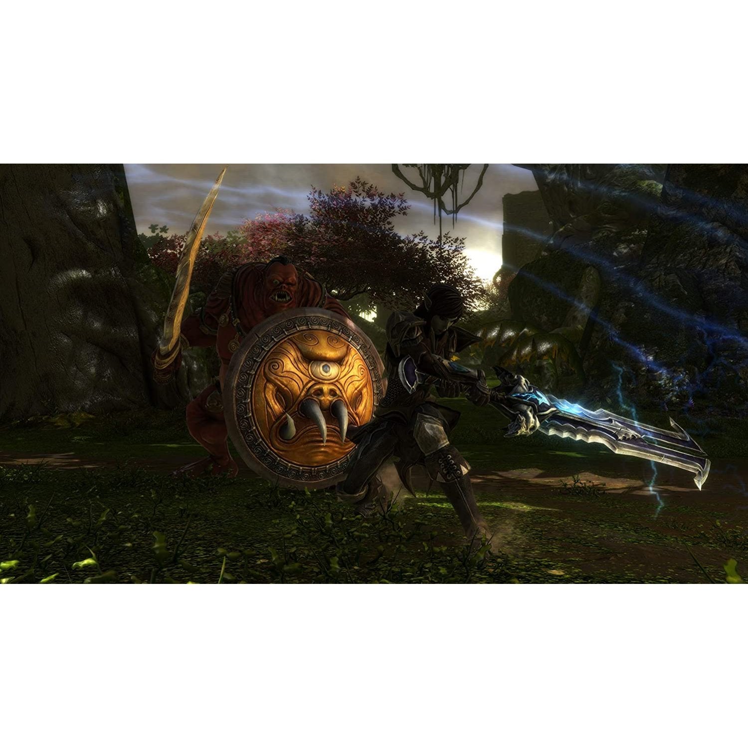 PS4 Kingdoms of Amalur: Re-Reckoning