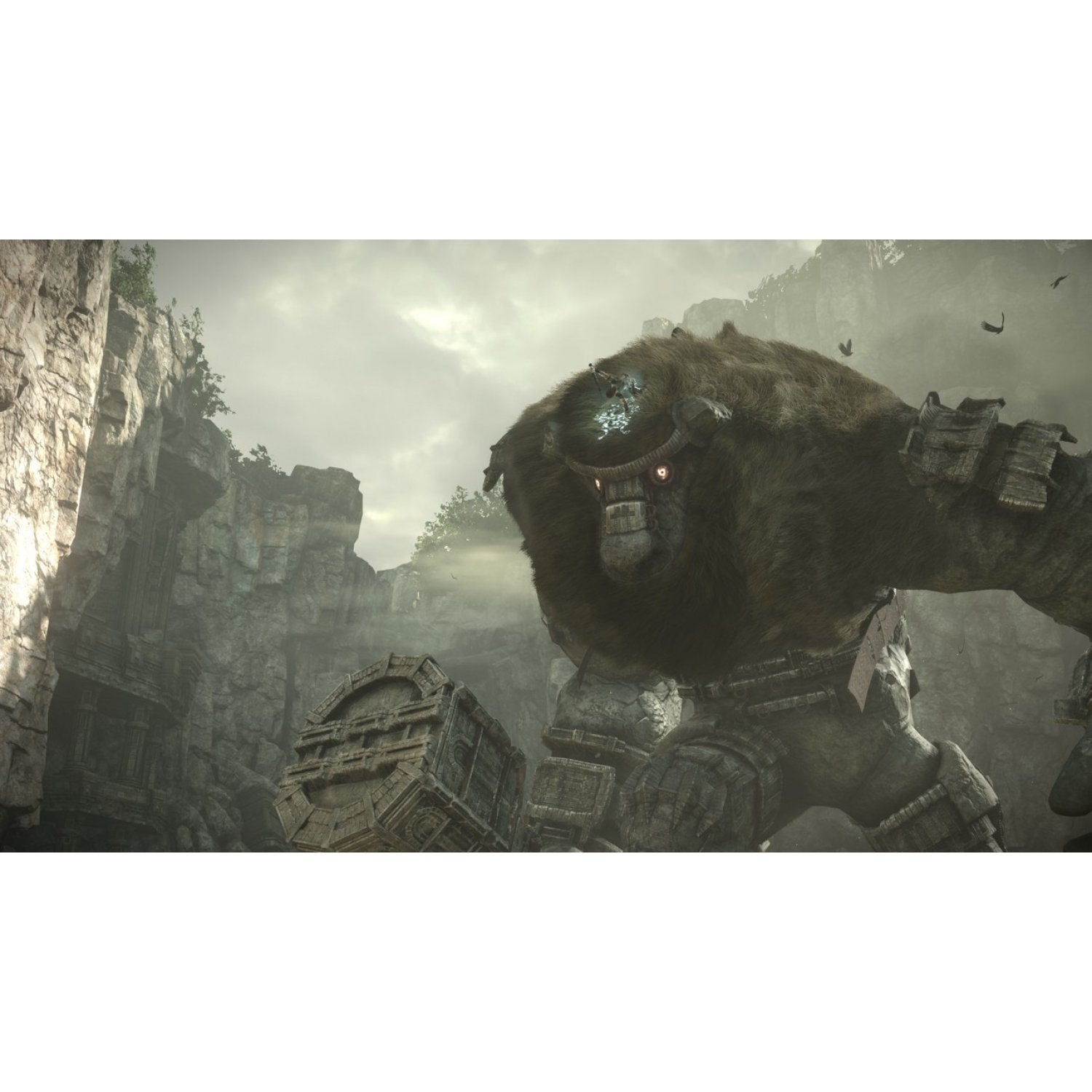 PS4 Shadow of the Colossus