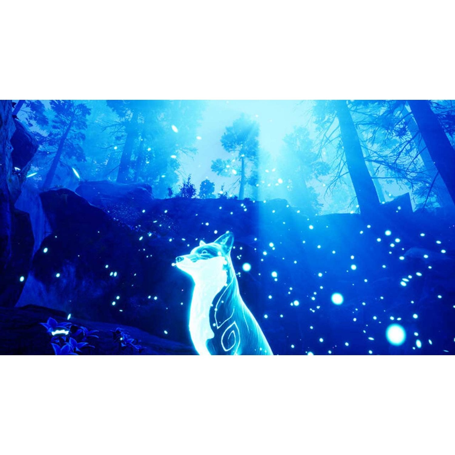 PS5 Spirit of the North - Enhanced Edition