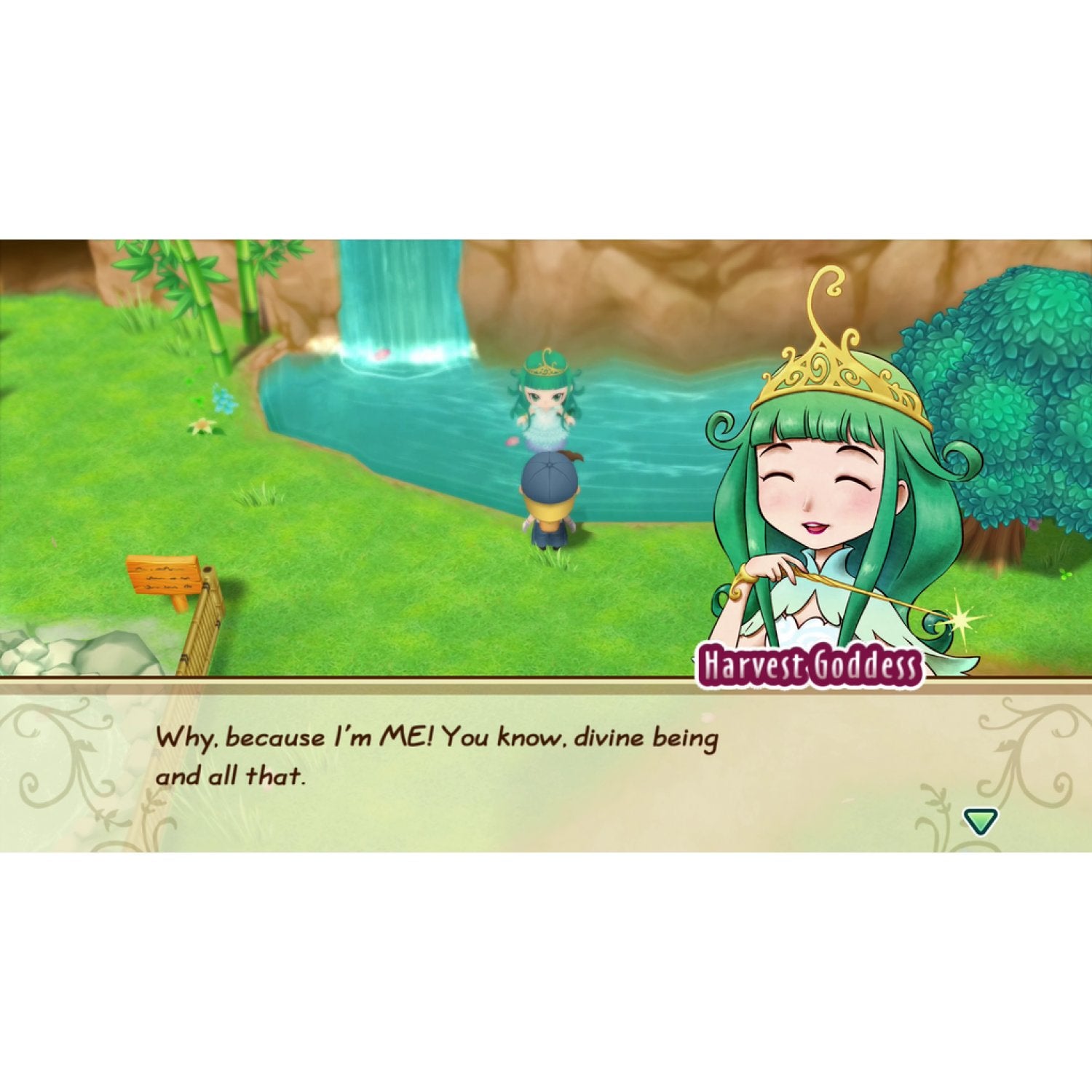 NSW Story of Seasons: Friends of Mineral Town