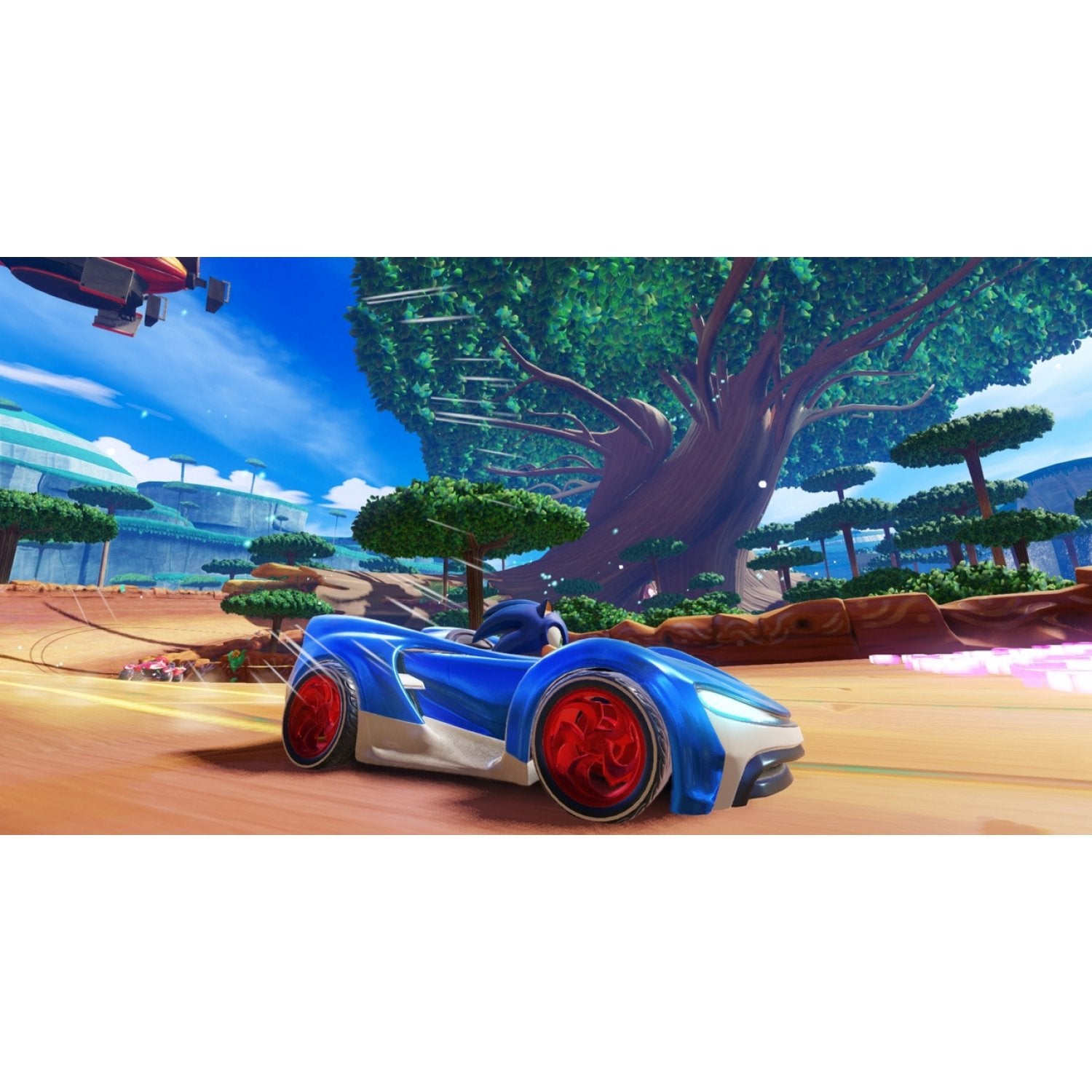 NSW Team Sonic Racing