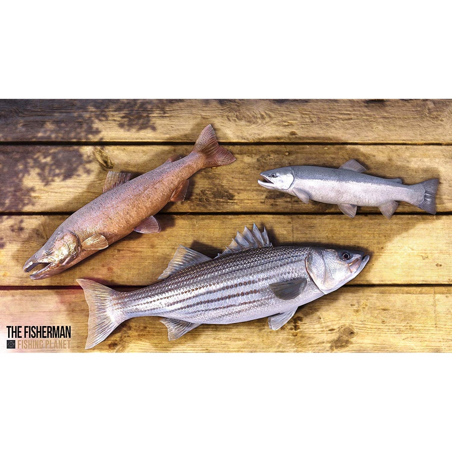 PS4 The Fisherman: Fishing Planet