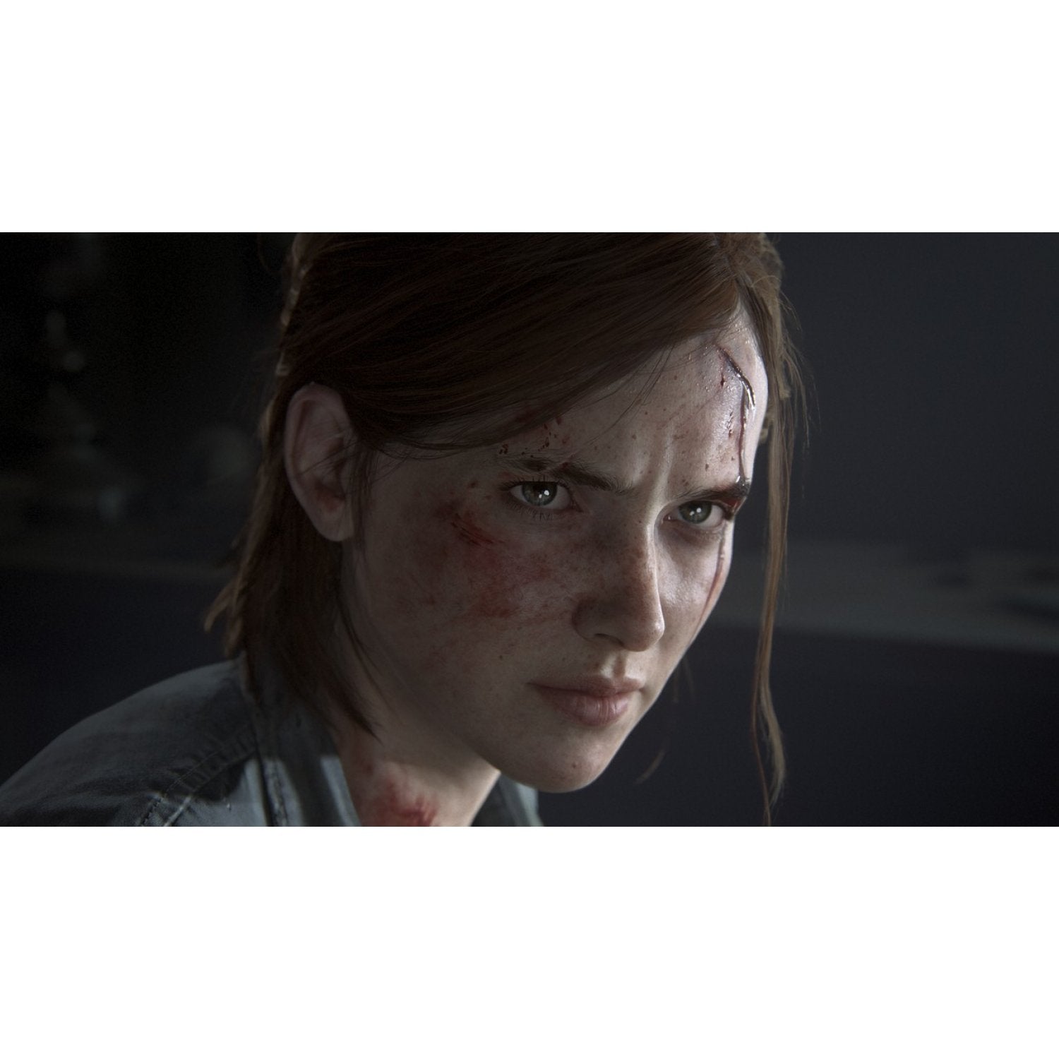 PS4 The Last of Us Part II