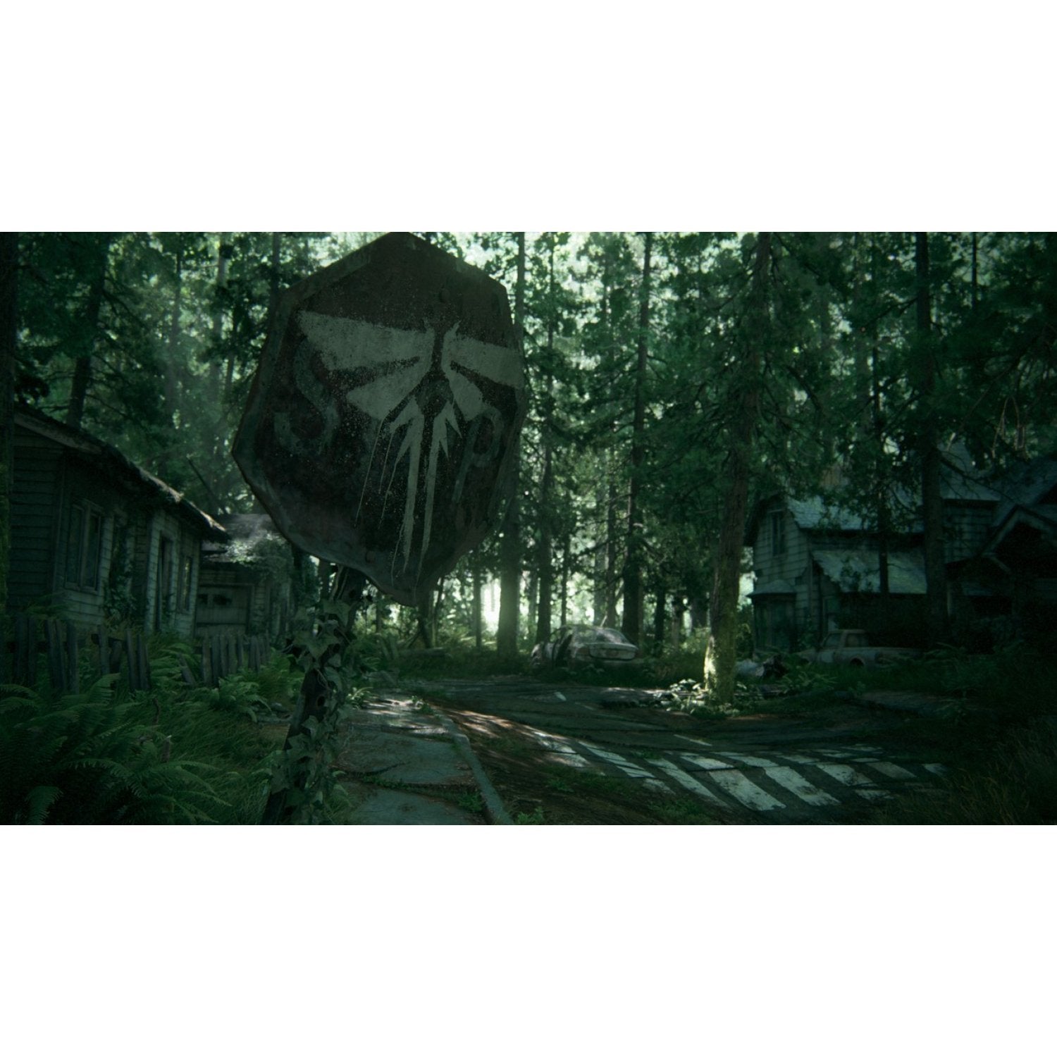 PS4 The Last of Us Part II