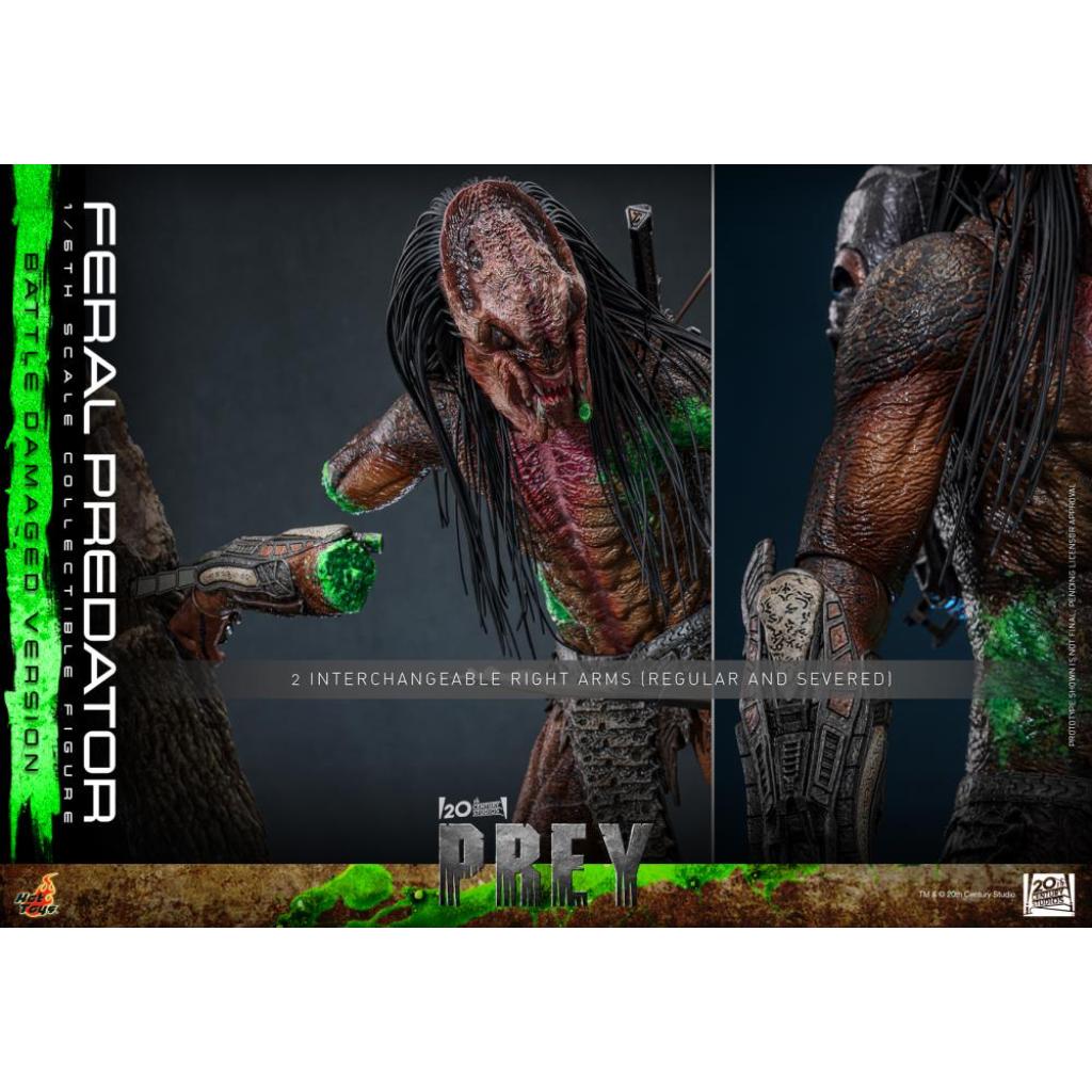 TMS173 Prey - 1/6th scale Feral Predator (Battle Damaged Version)