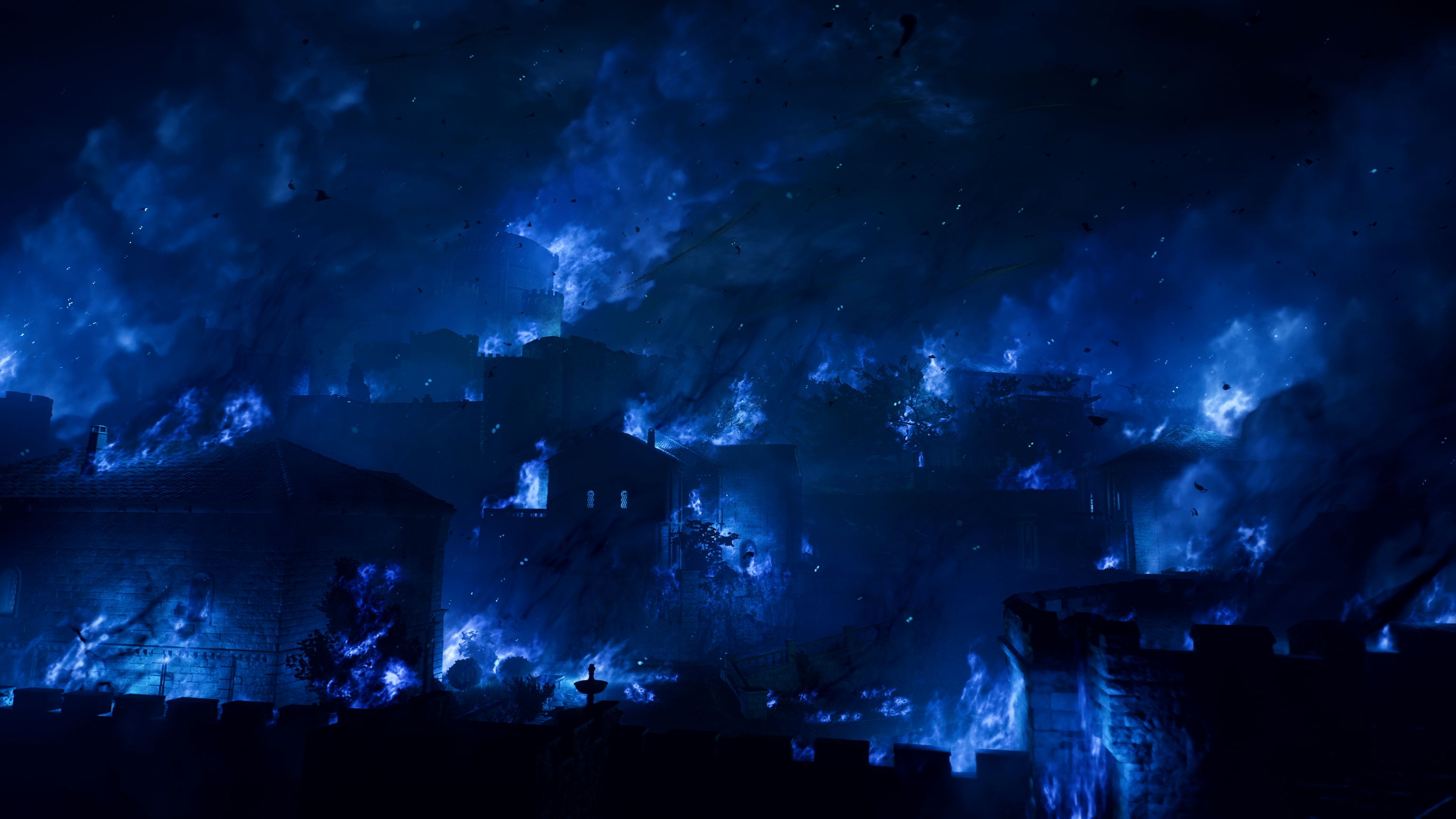NS2 Dragons Dogma 2: Dark Arisen (Game-Key Card)
