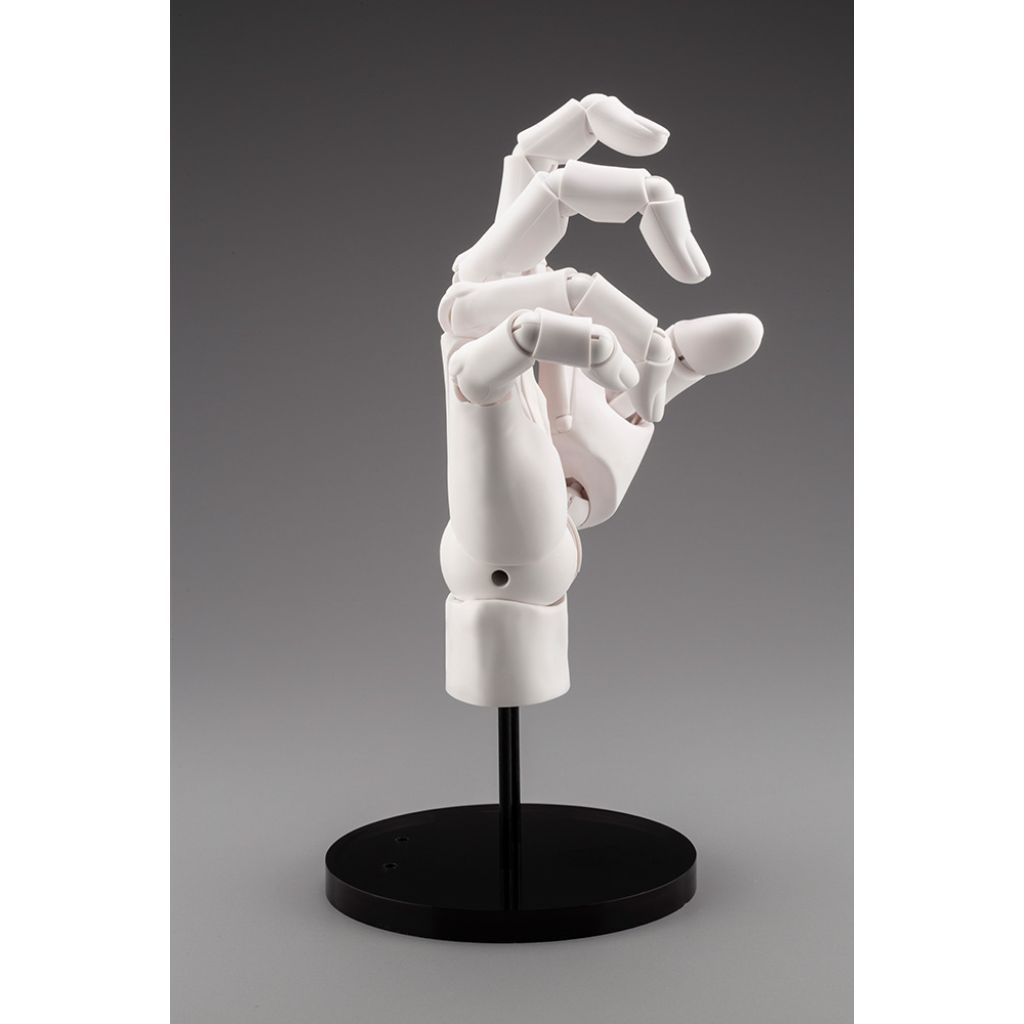 Artist Support Item - Hand Model/R -White-