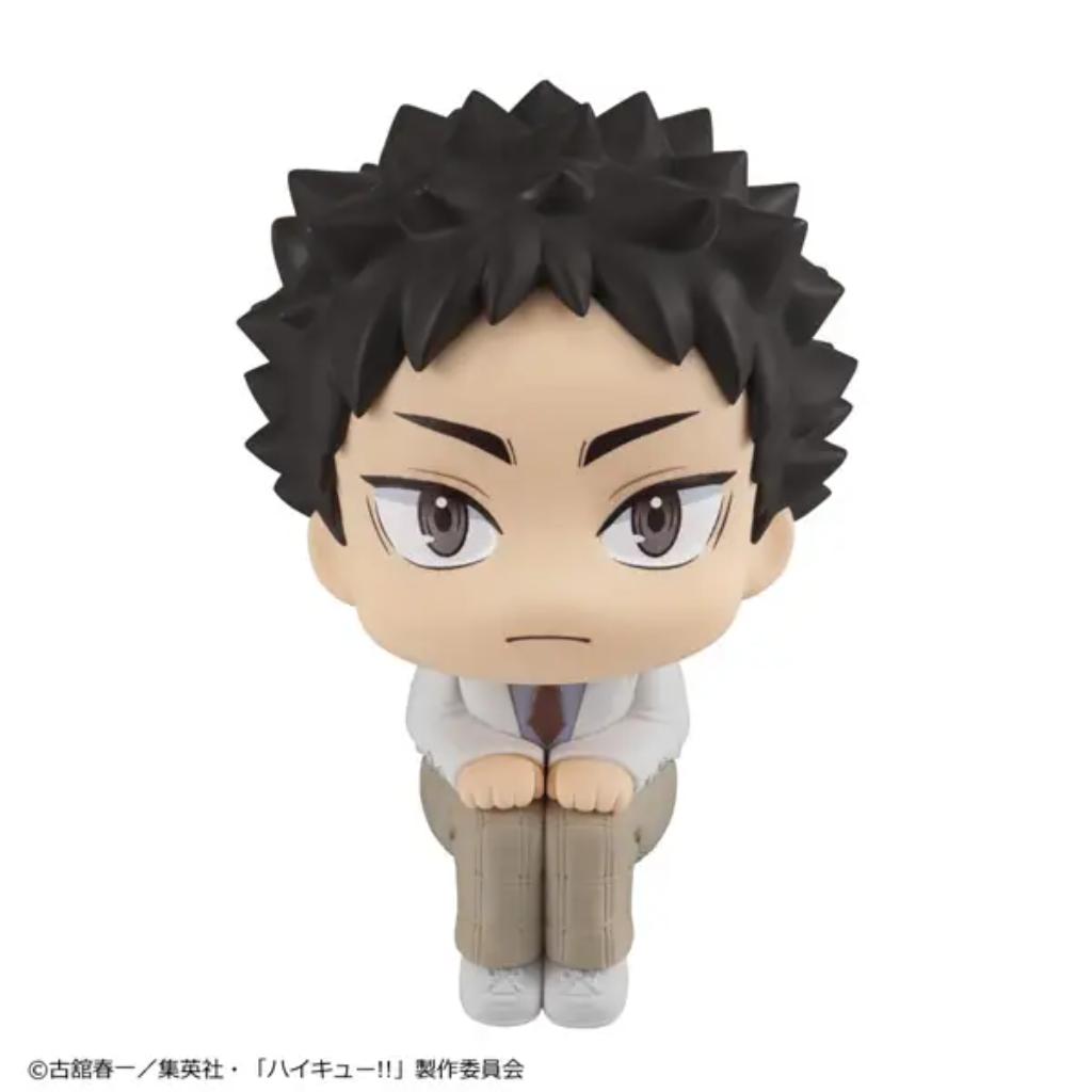 Lookup Haikyu!! - Hajime Iwaizumi