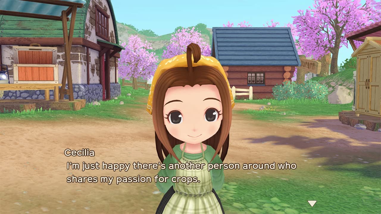 NSW Story of Seasons: A Wonderful Life