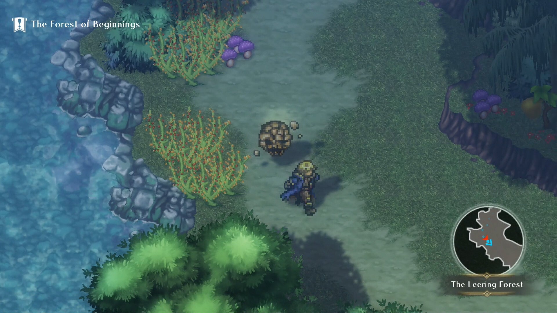 NSW Wizmans World Re;Try