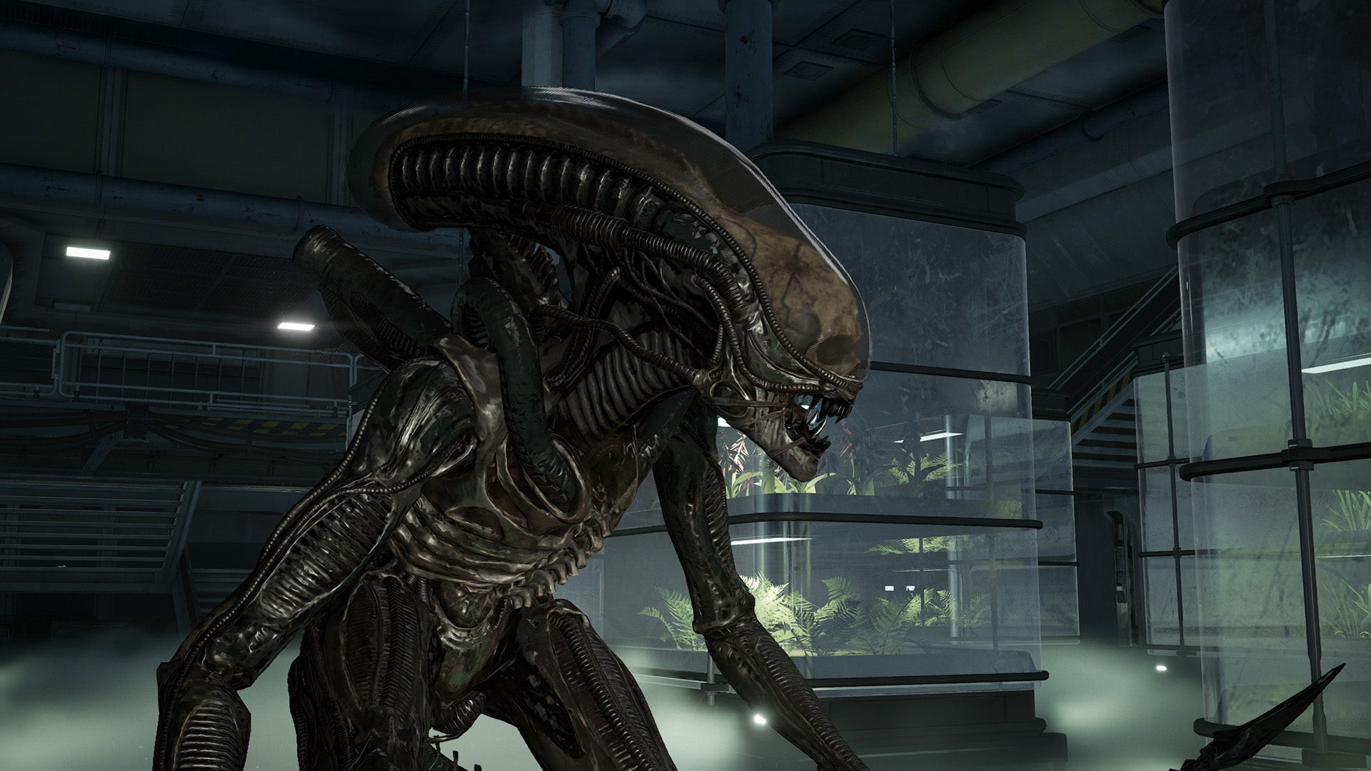 PS5 Aliens: Fireteam Elite 2