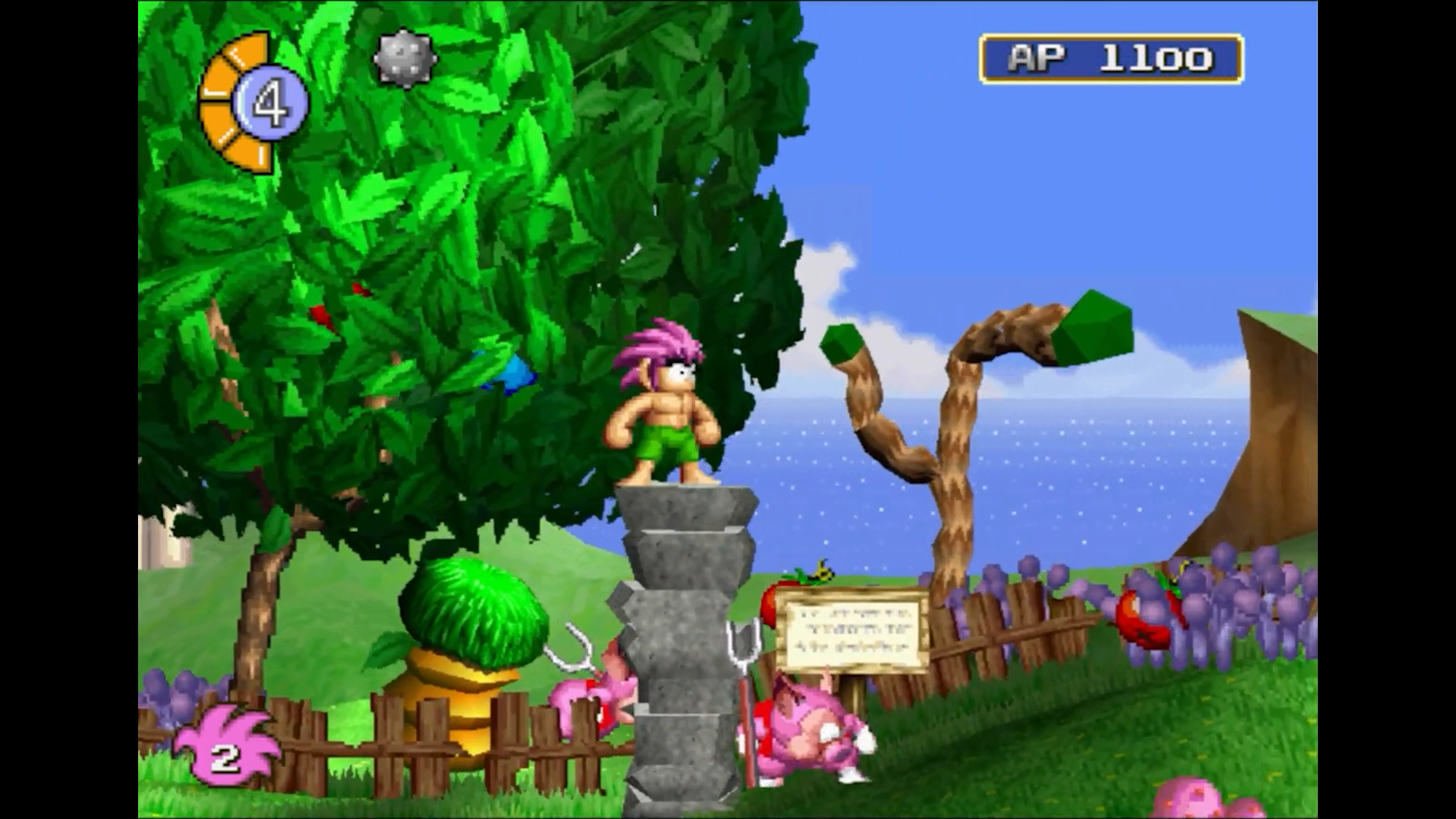 NSW Tomba - Special Edition -