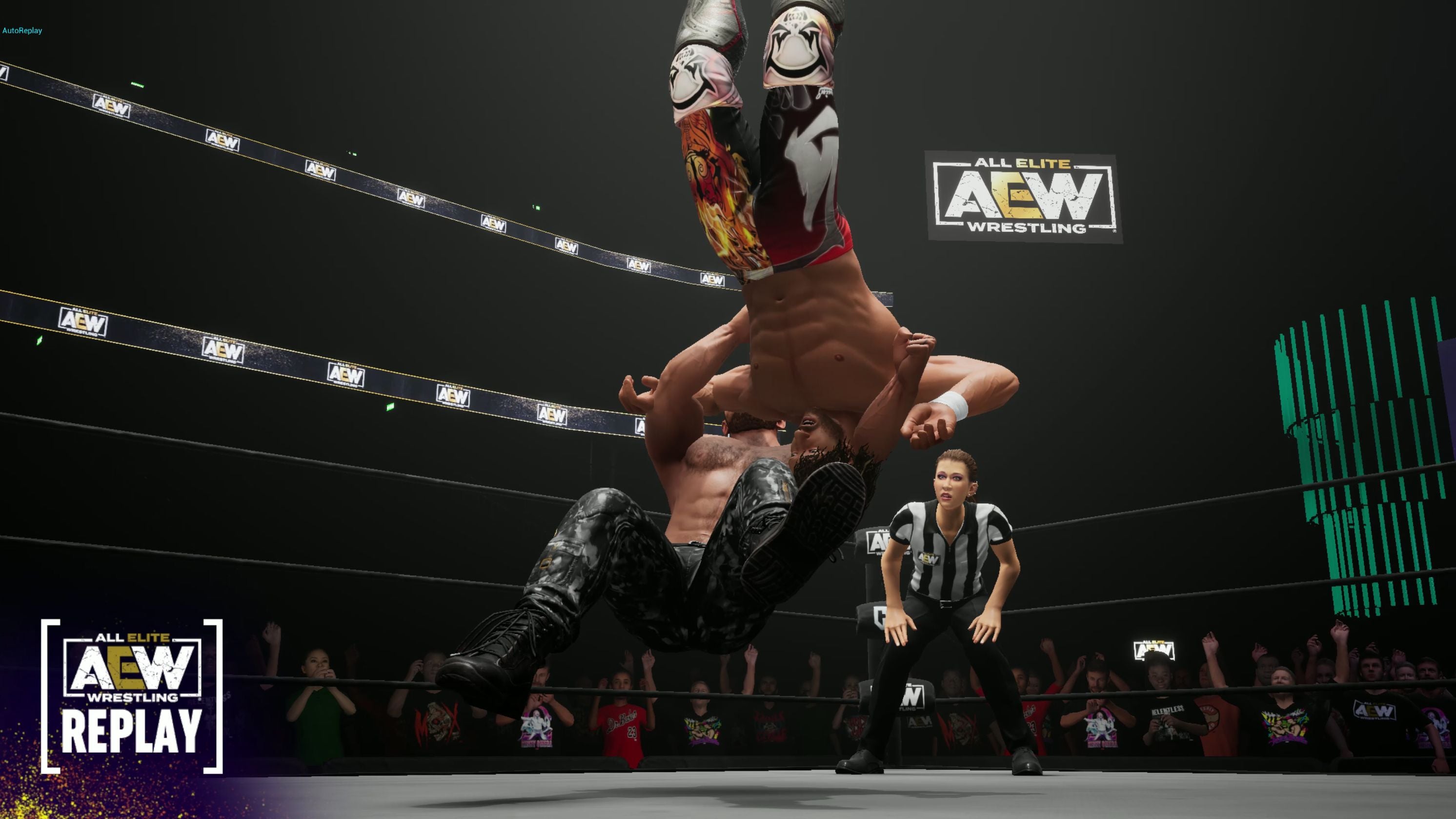 NSW AEW: Fight Forever (NC16)