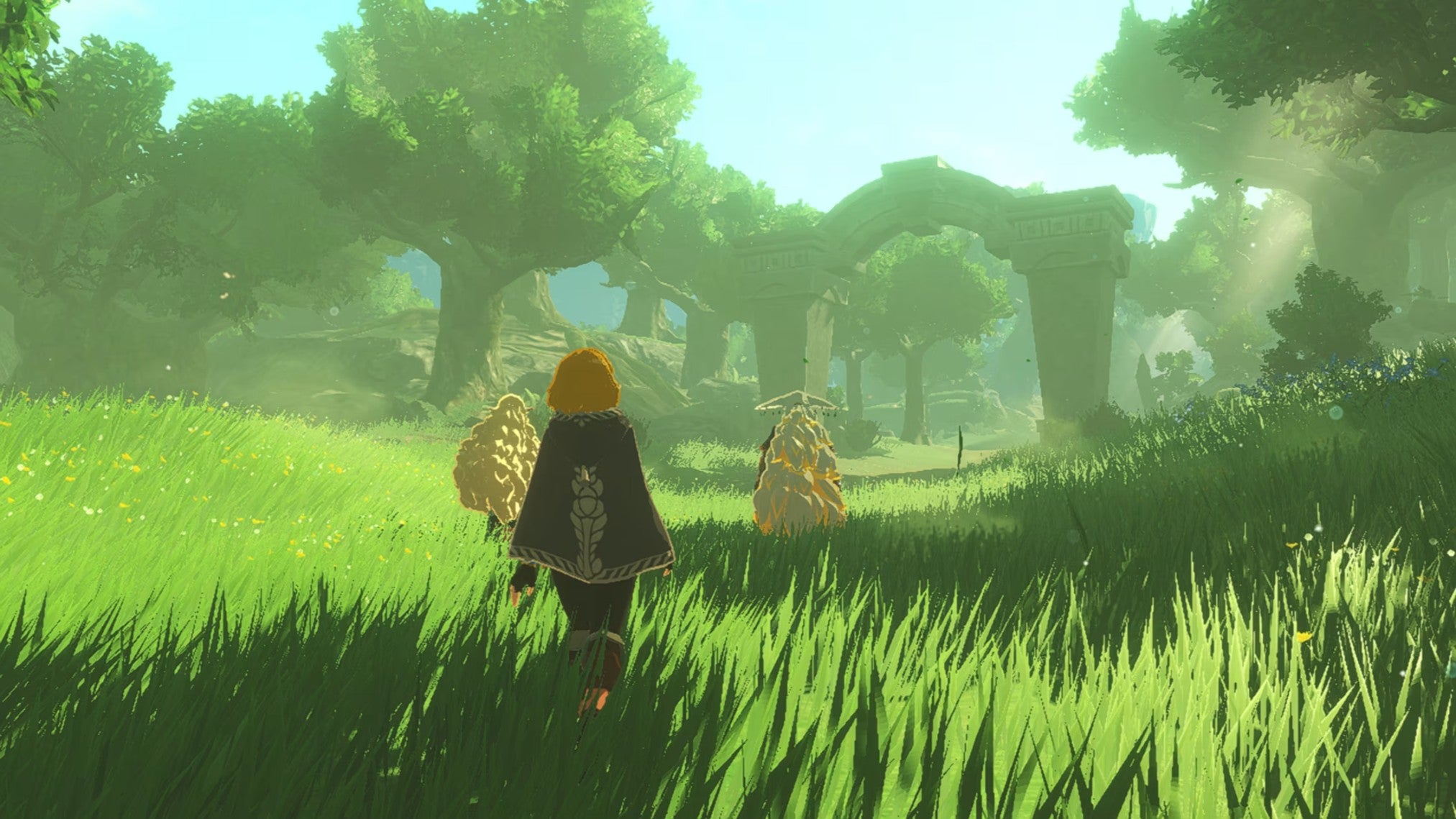 NS2 Hyrule Warriors: Age of Imprisonment