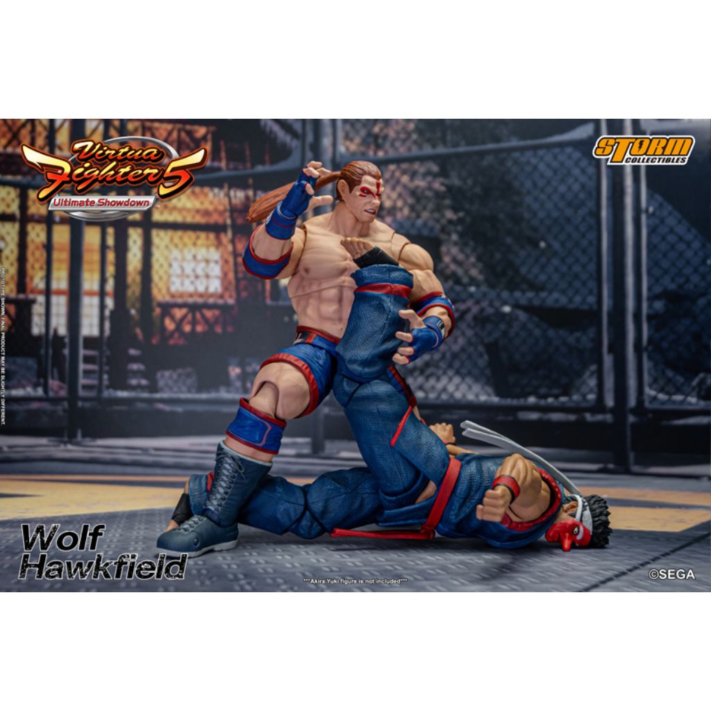 1:12 Scale Action Figure Virtua Fighter 5 - Wolf Hawkfield