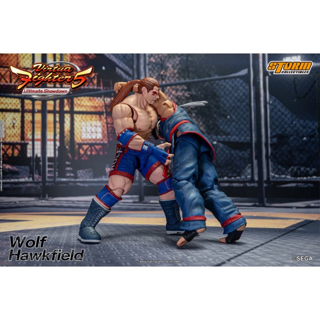 1:12 Scale Action Figure Virtua Fighter 5 - Wolf Hawkfield