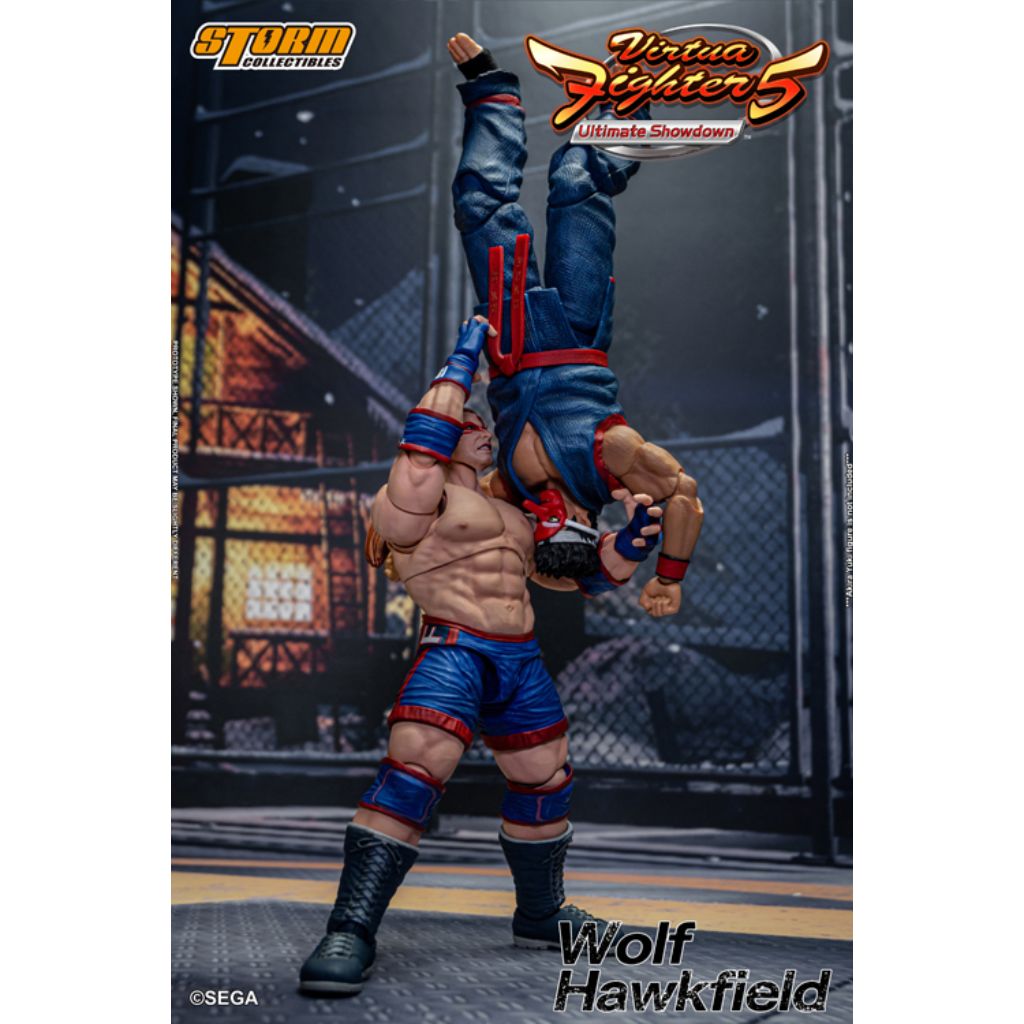 1:12 Scale Action Figure Virtua Fighter 5 - Wolf Hawkfield