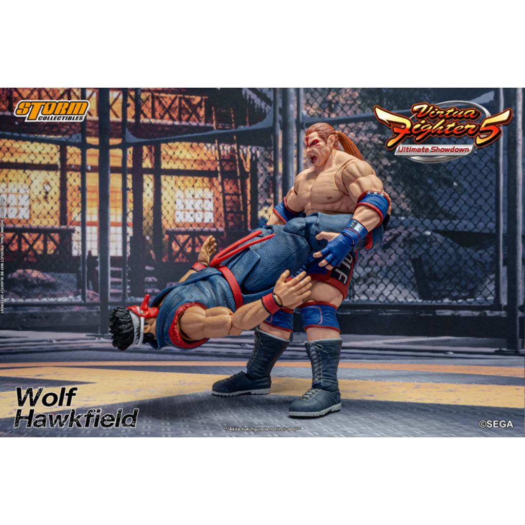 1:12 Scale Action Figure Virtua Fighter 5 - Wolf Hawkfield