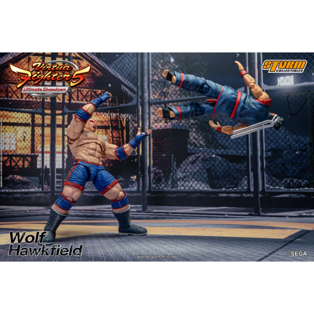 1:12 Scale Action Figure Virtua Fighter 5 - Wolf Hawkfield