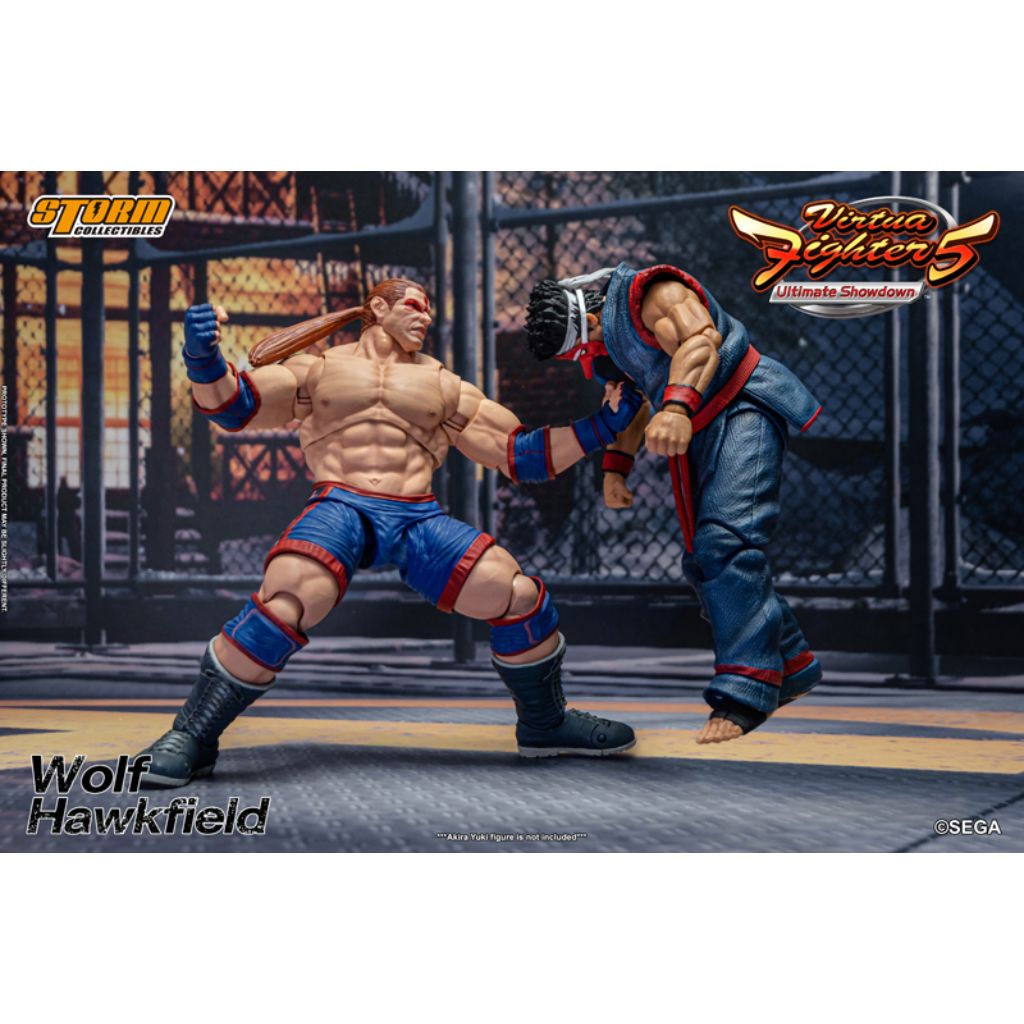 1:12 Scale Action Figure Virtua Fighter 5 - Wolf Hawkfield