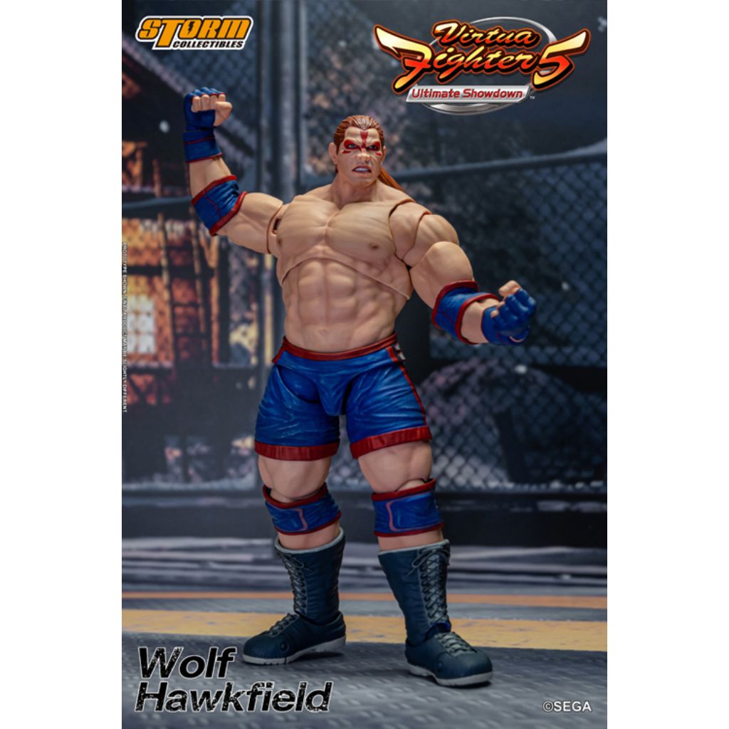 1:12 Scale Action Figure Virtua Fighter 5 - Wolf Hawkfield