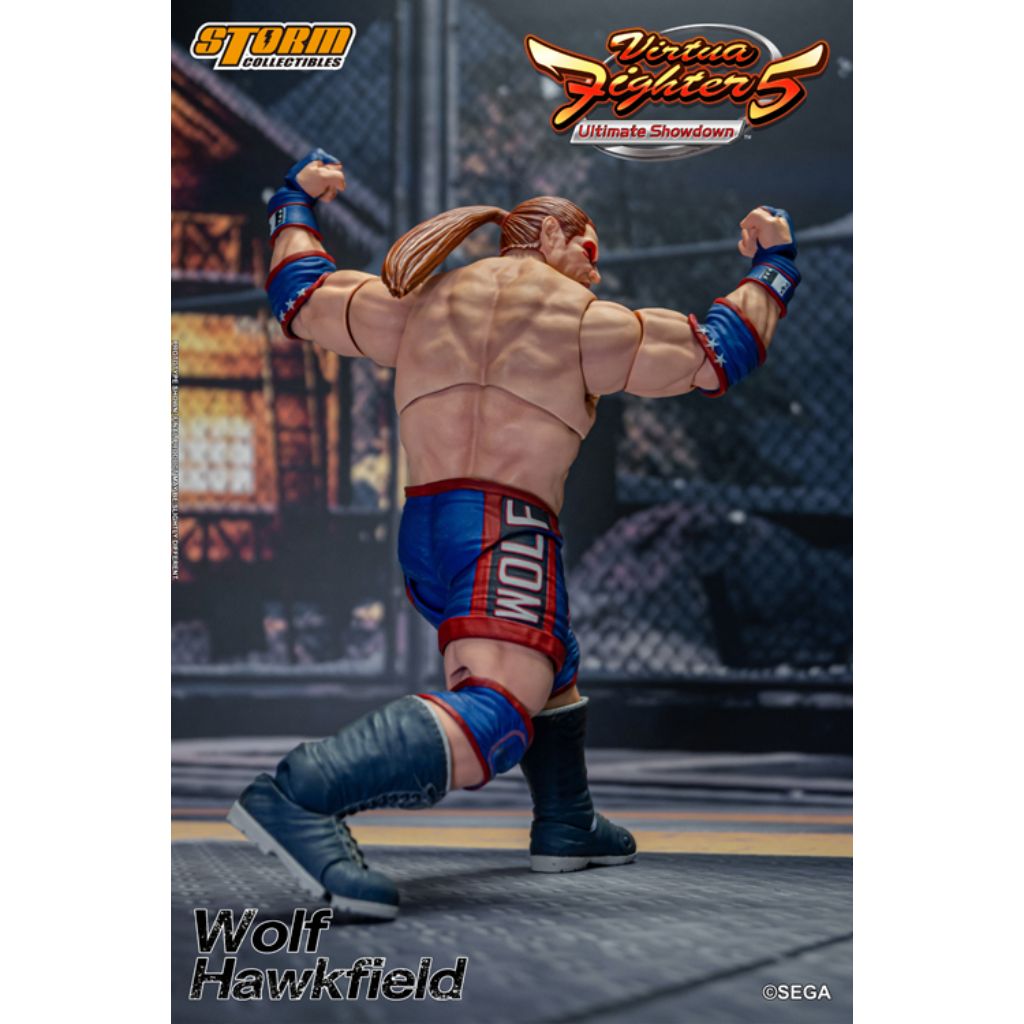 1:12 Scale Action Figure Virtua Fighter 5 - Wolf Hawkfield