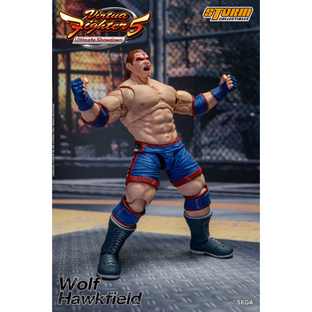 1:12 Scale Action Figure Virtua Fighter 5 - Wolf Hawkfield