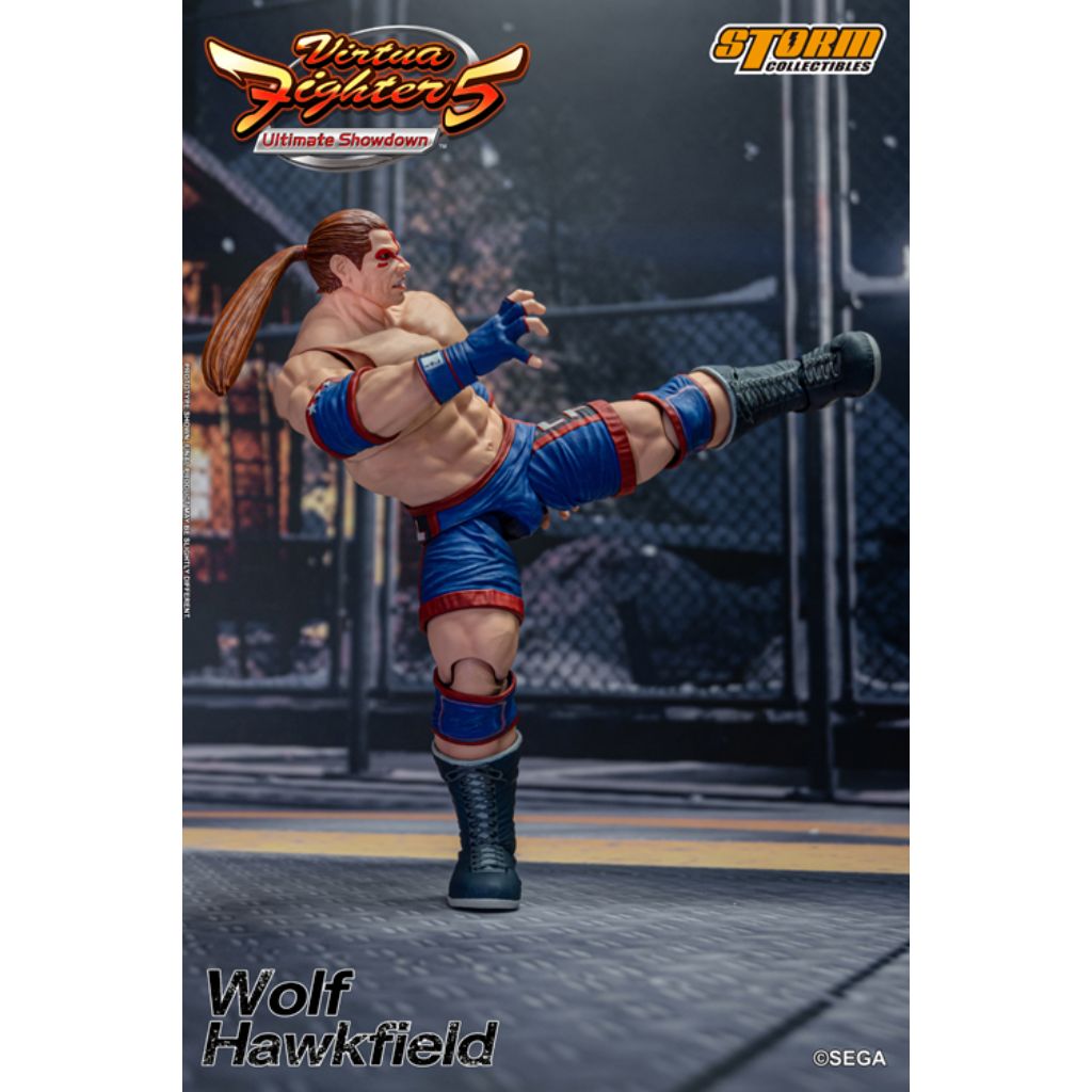 1:12 Scale Action Figure Virtua Fighter 5 - Wolf Hawkfield