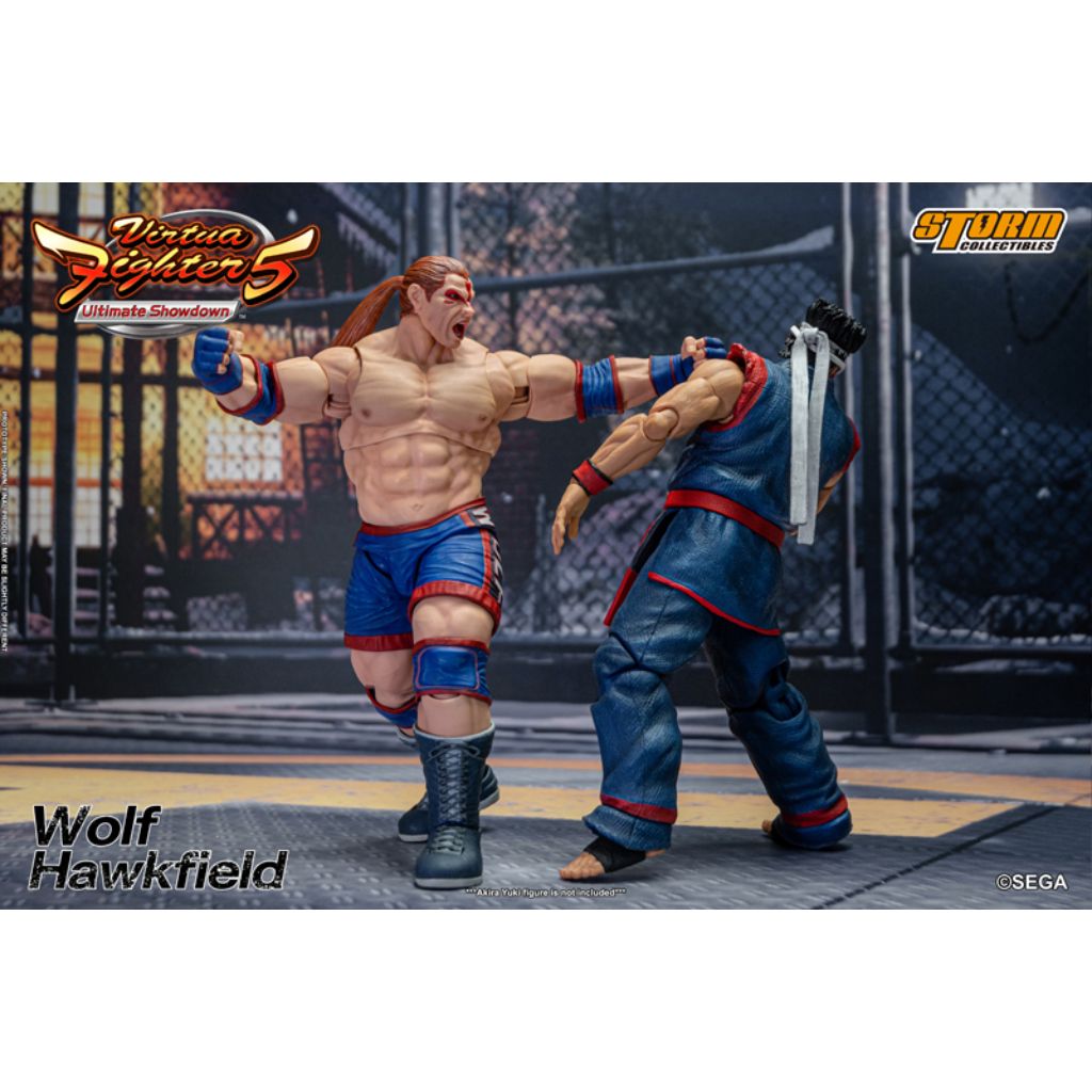 1:12 Scale Action Figure Virtua Fighter 5 - Wolf Hawkfield