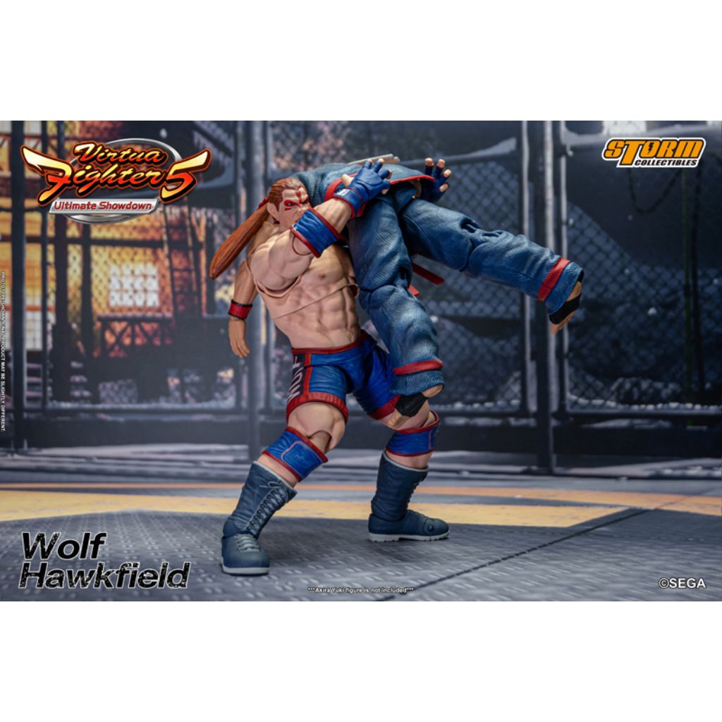 1:12 Scale Action Figure Virtua Fighter 5 - Wolf Hawkfield