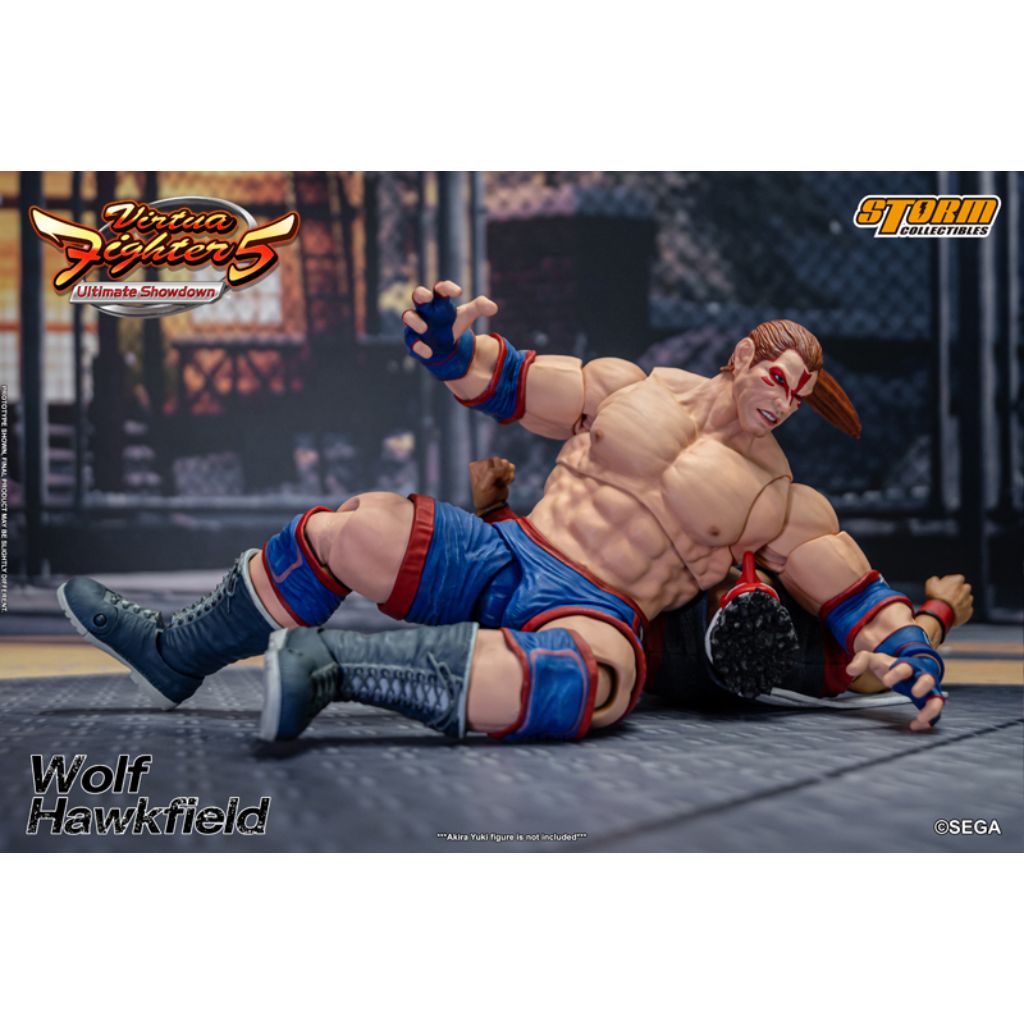 1:12 Scale Action Figure Virtua Fighter 5 - Wolf Hawkfield