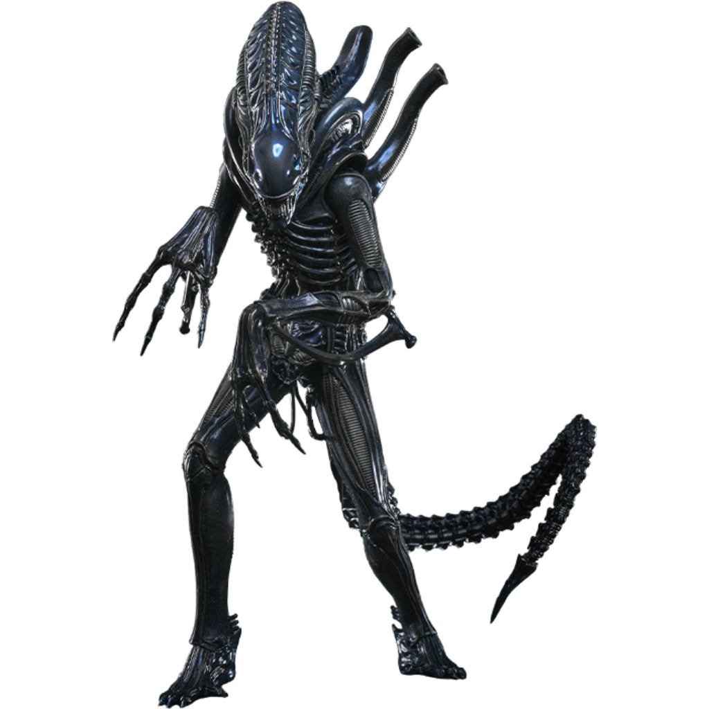 MMS898 Aliens - 1/6th scale Alien Warrior