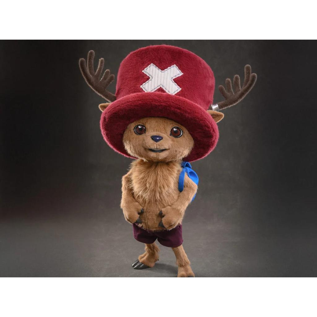 TMS174 One Piece - Chopper