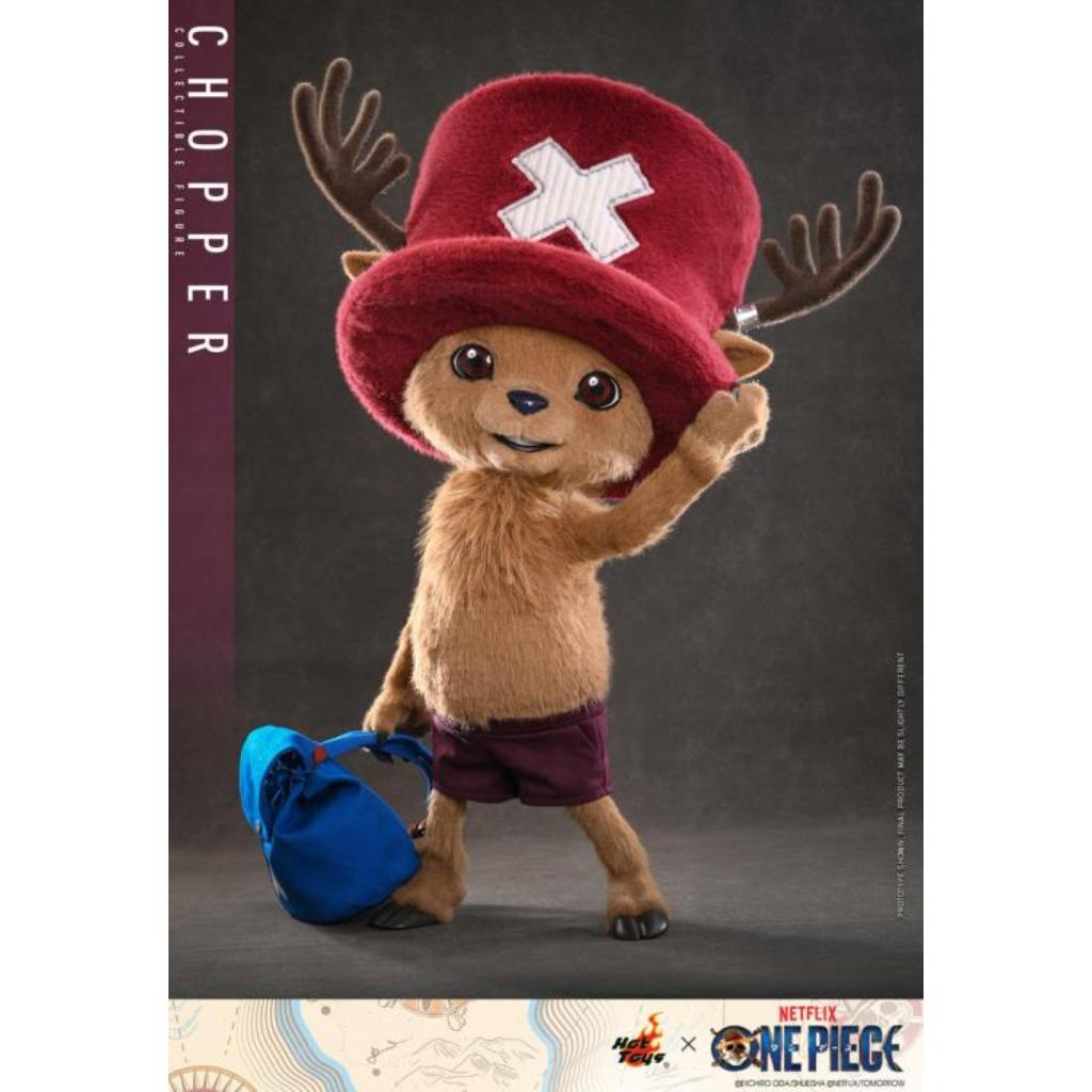 TMS174 One Piece - Chopper