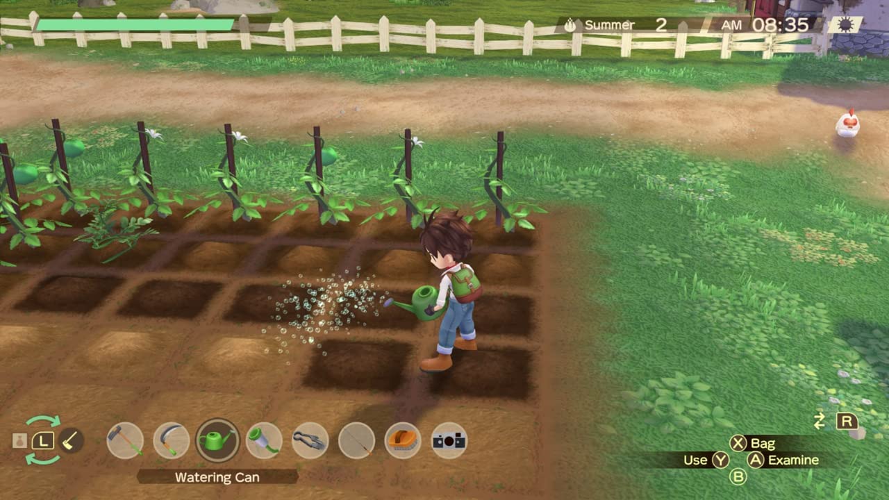 NSW Story of Seasons: A Wonderful Life