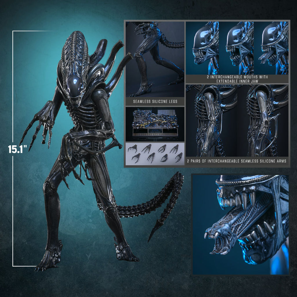 MMS898 Aliens - 1/6th scale Alien Warrior