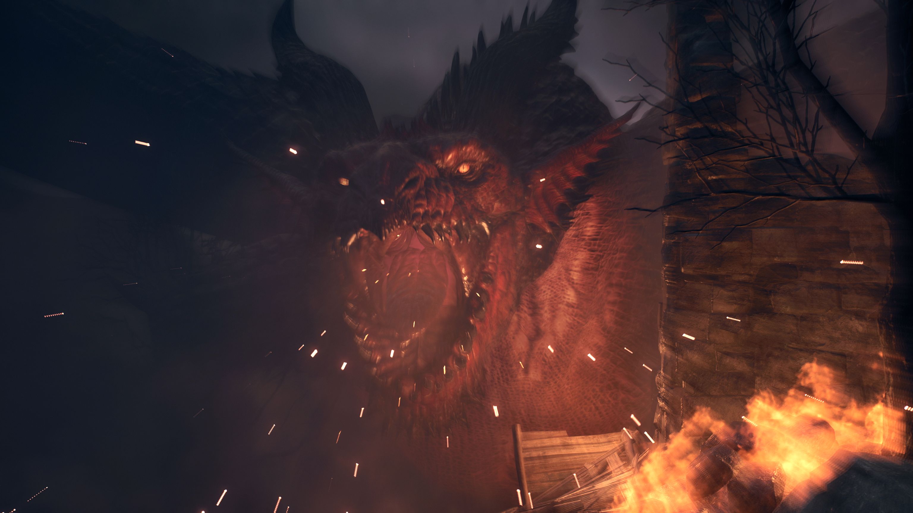 PS5 Dragon's Dogma II (M18)