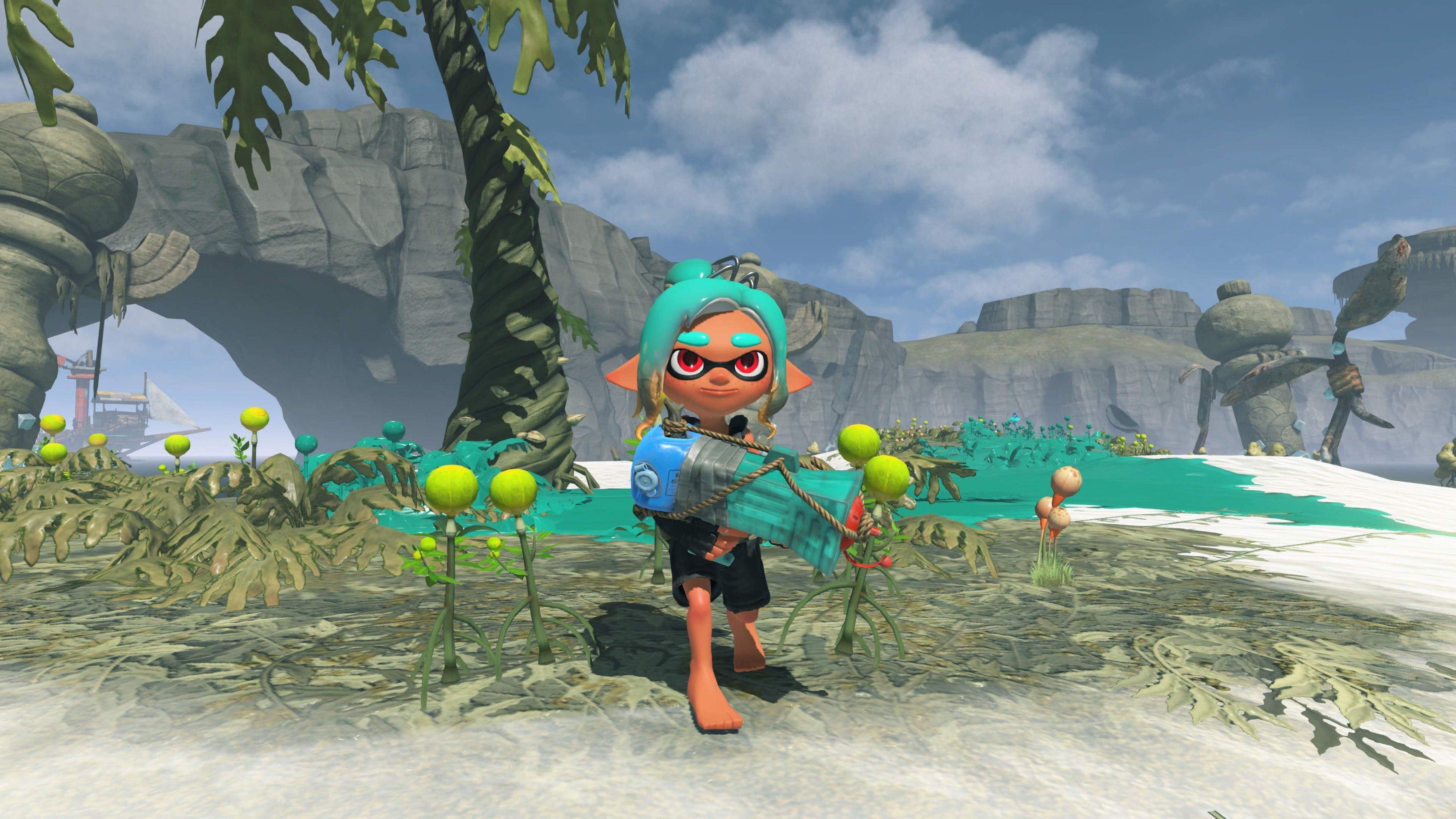 NS2 Splatoon Raiders