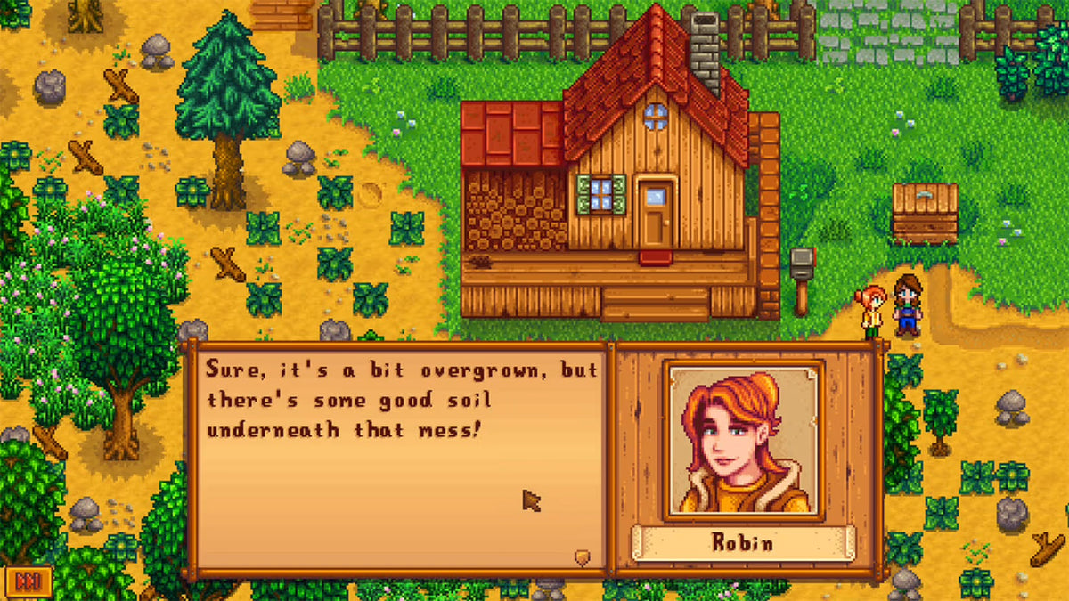 NS2 Stardew Valley - Nintendo Switch 2 Edition