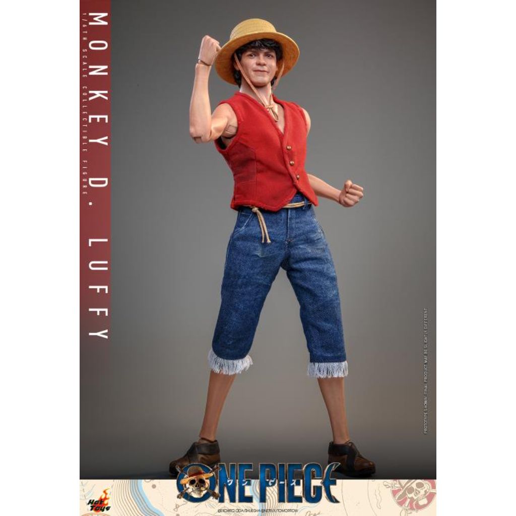 Tms109 One Piece - 1/6 Monkey D. Luffy