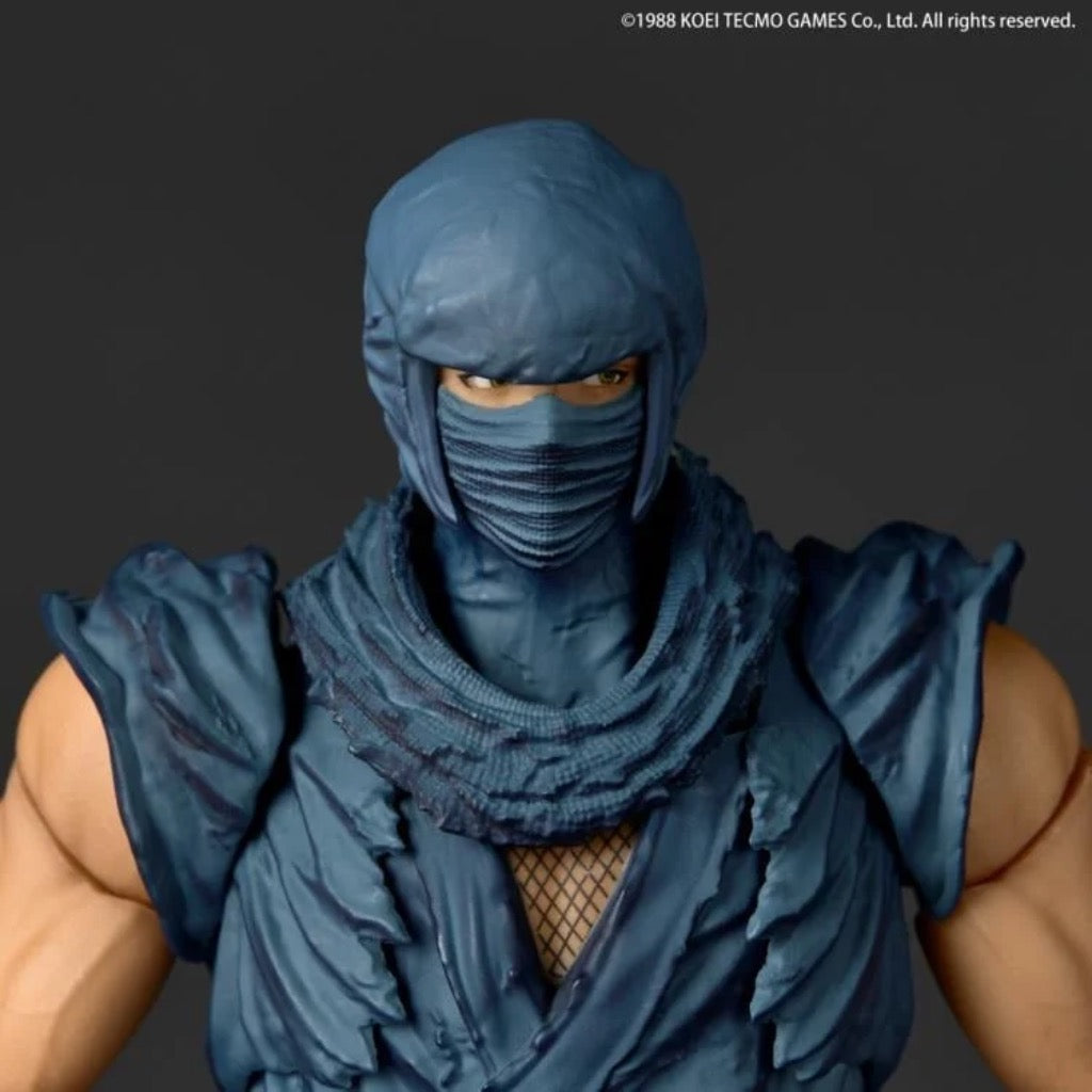 Amazing Yamaguchi - Ryu Hayabusa Ninja Gaiden Ver.