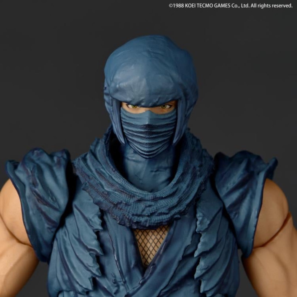 Amazing Yamaguchi - Ryu Hayabusa Ninja Gaiden Ver.