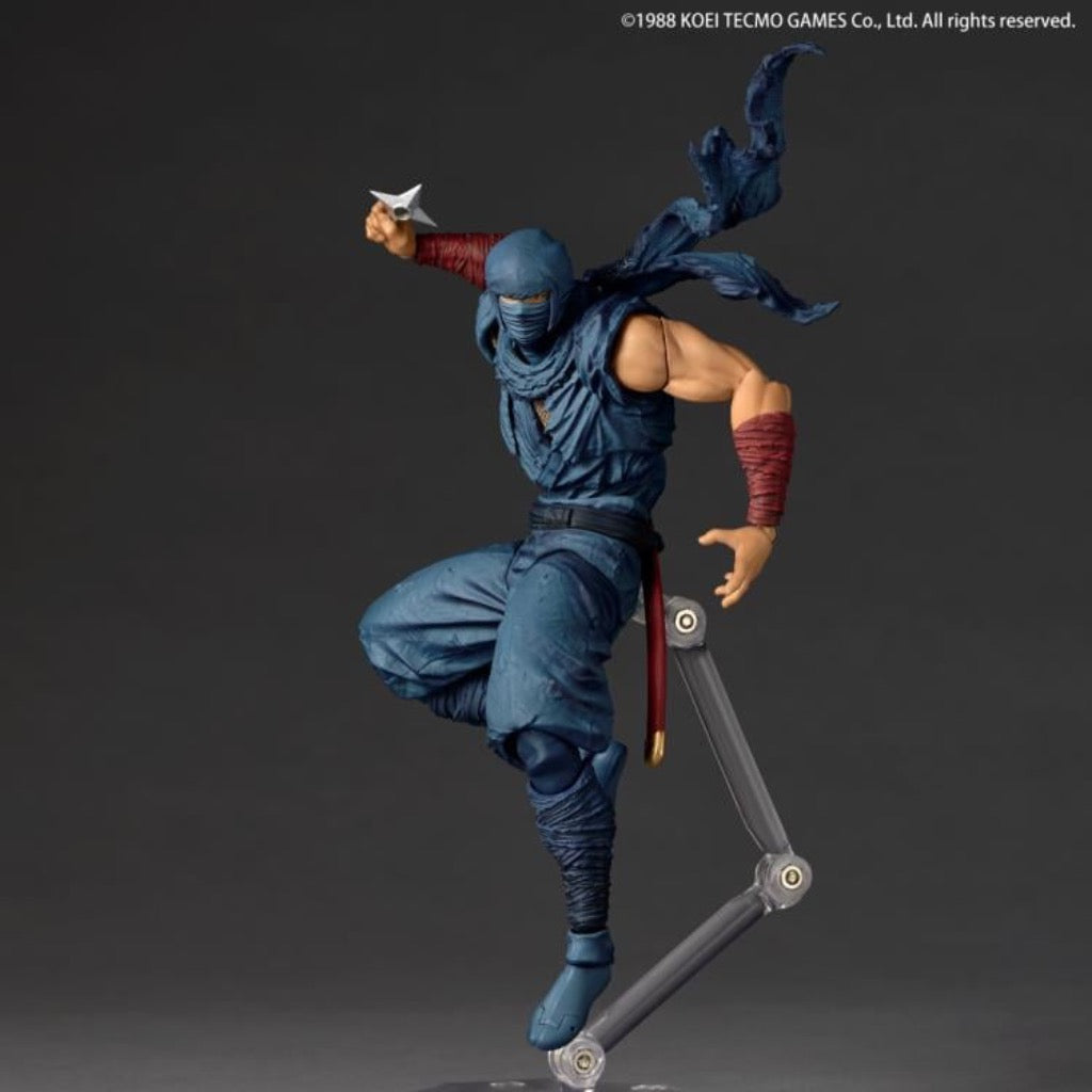 Amazing Yamaguchi - Ryu Hayabusa Ninja Gaiden Ver.