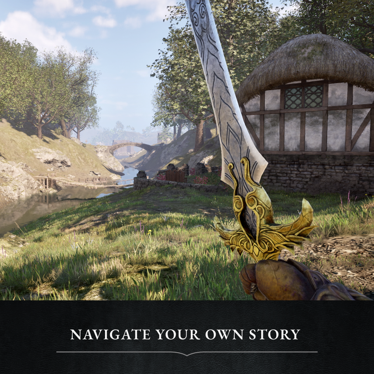 NS2 The Elder Scrolls IV: Oblivion Remastered [Deluxe Edition]