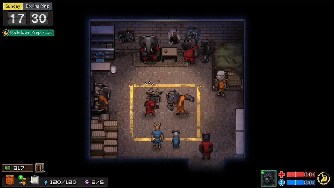 NSW Back to the Dawn