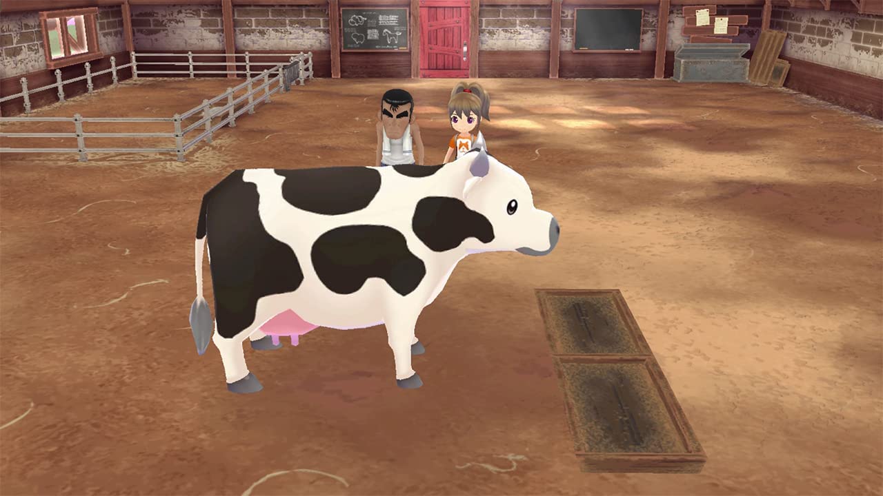 NSW Story of Seasons: A Wonderful Life