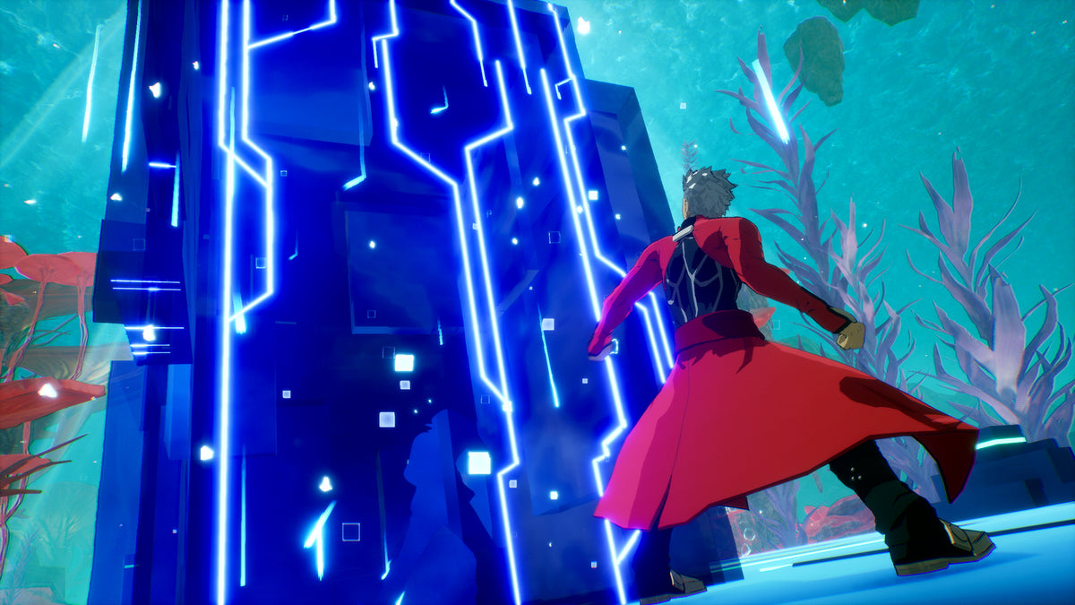 NS2 Fate / Extra Record